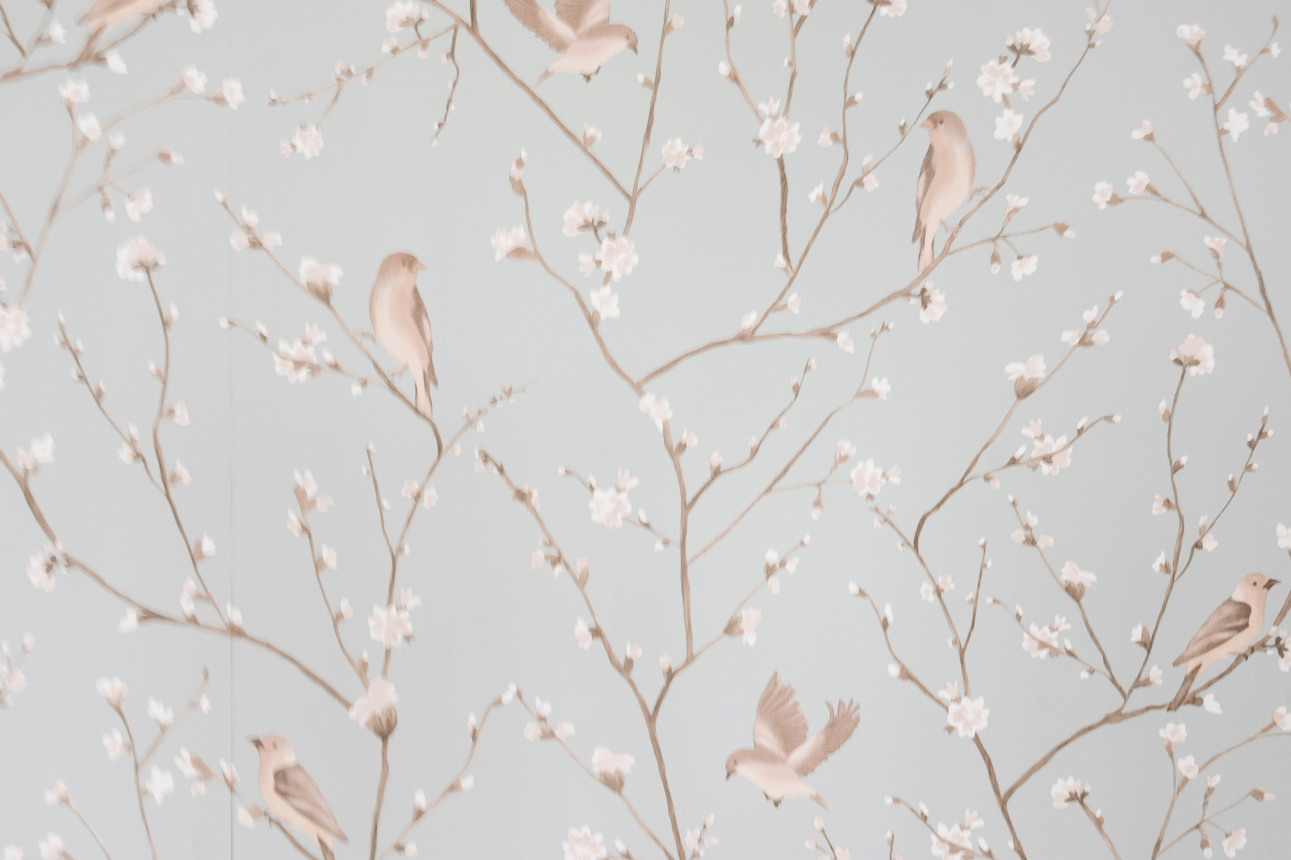 Свадьба усадьба Марфино. Свадебные фотосессии в Москве. Фотограф Сергей Ржевский