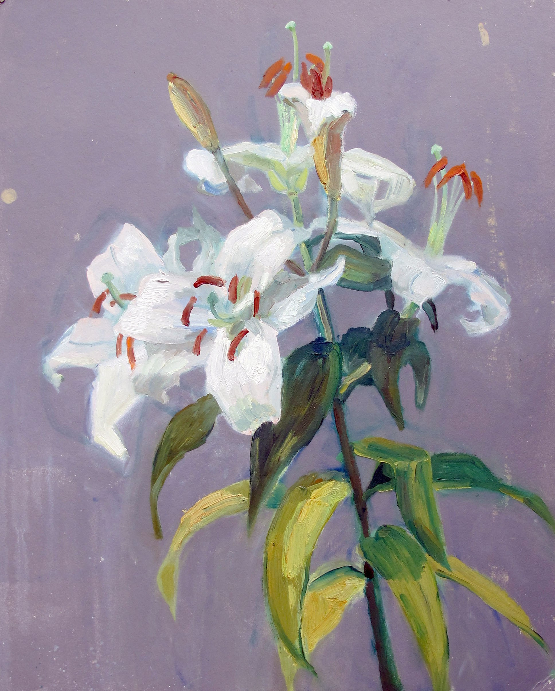 Laboring up [the painting] with oil 2012 — 2019. Ilmira Bolotyan — Interdisciplinary Artist and Curator