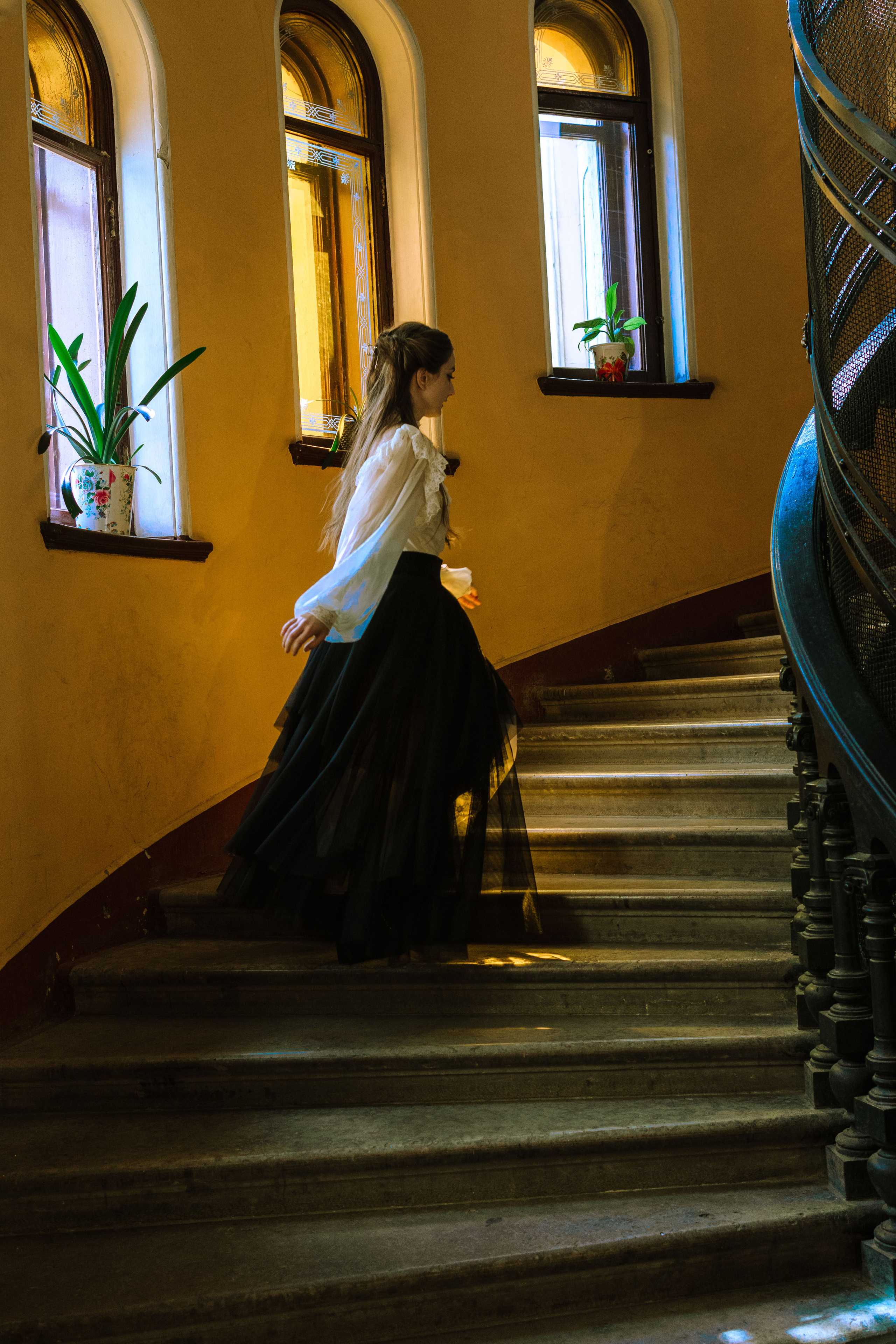 Парадные Петербурга