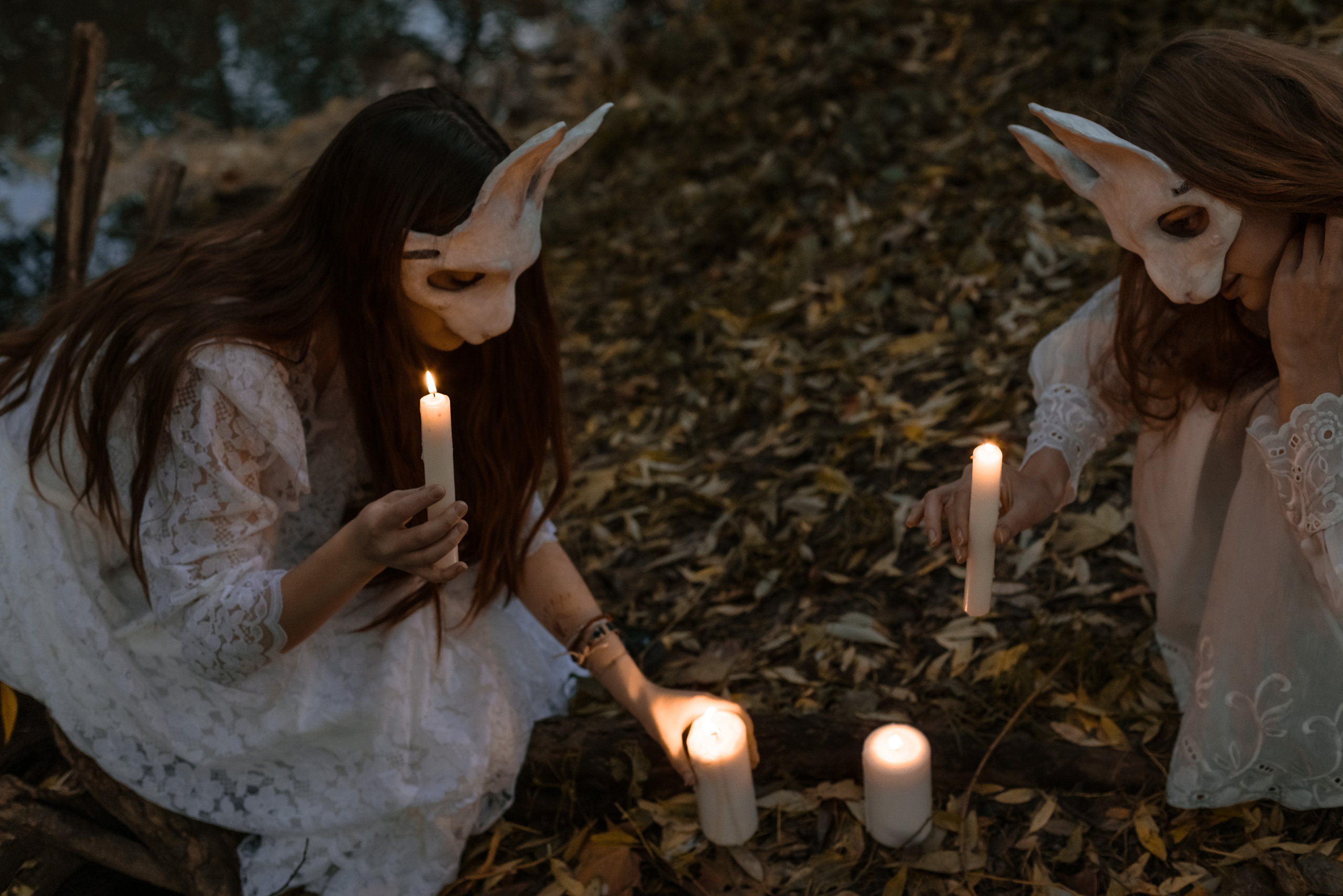 Сумеречные Зайцы