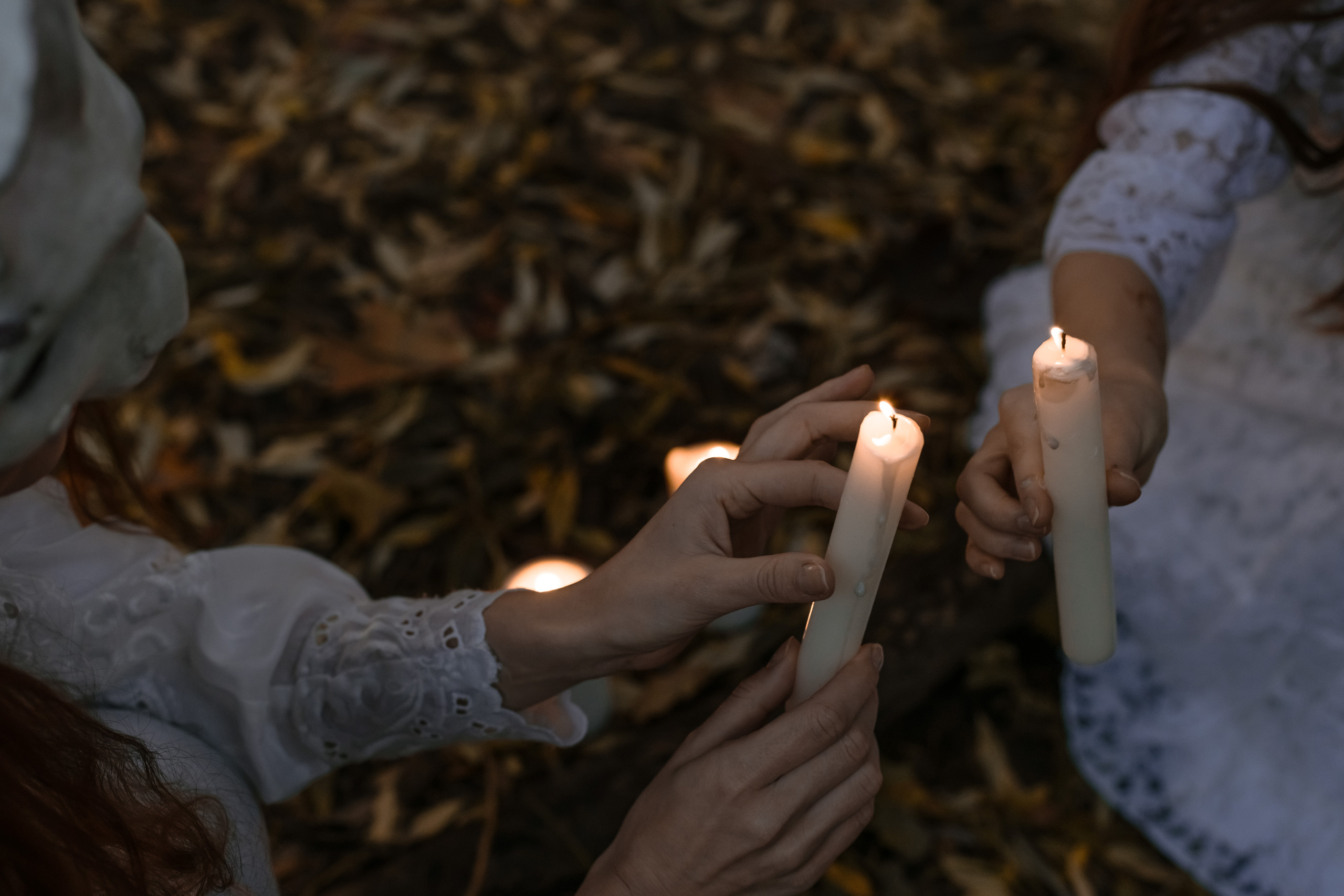 Сумеречные Зайцы