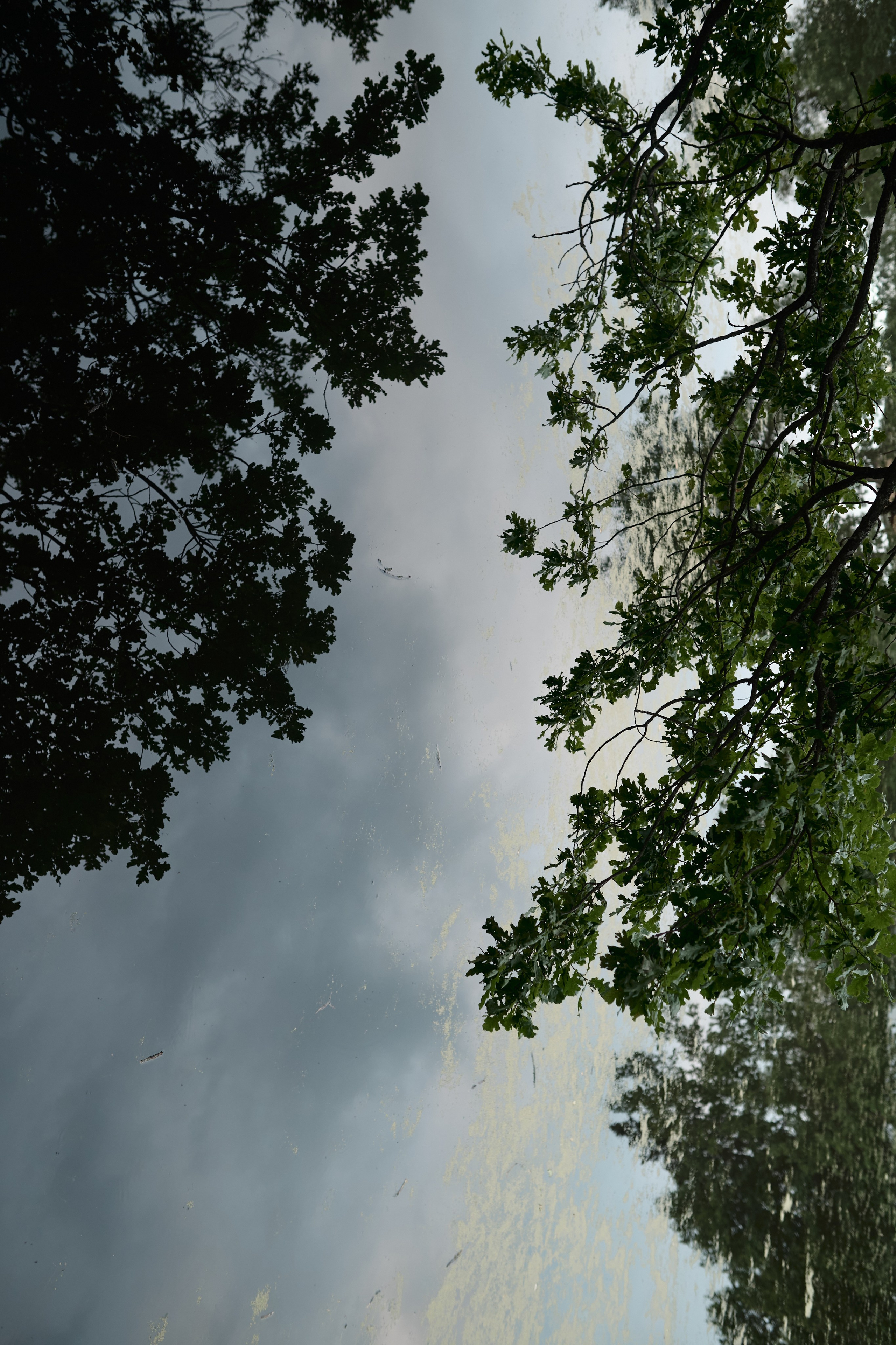 Слава и Света. Остров любви. Семейный и свадебный lifestyle-фотограф в Москве Мария Петрова