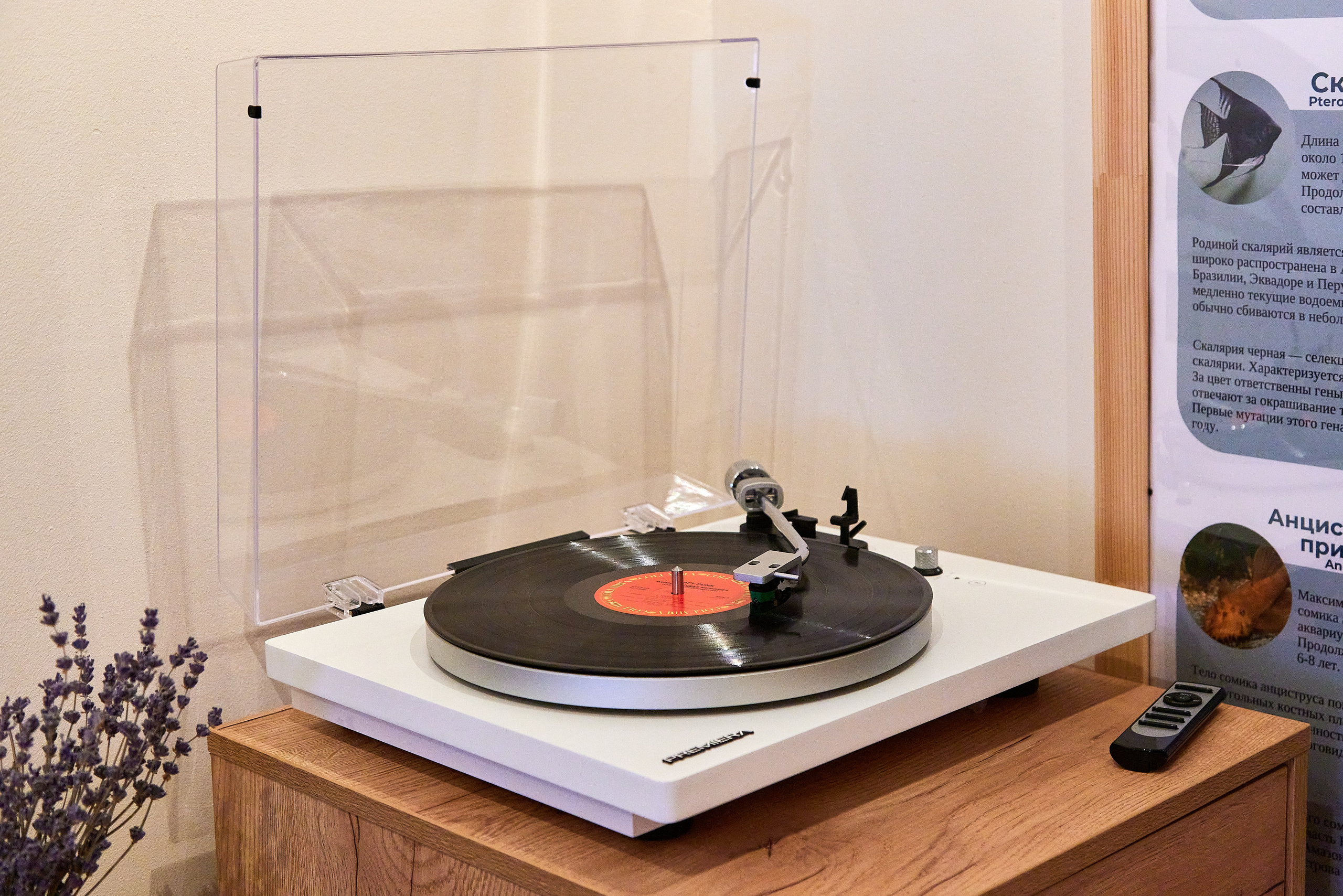 2025.03.15 Центр психологии Дарьи Флоровской. Фотограф Анастасия Леонтьева Санкт-Петербург