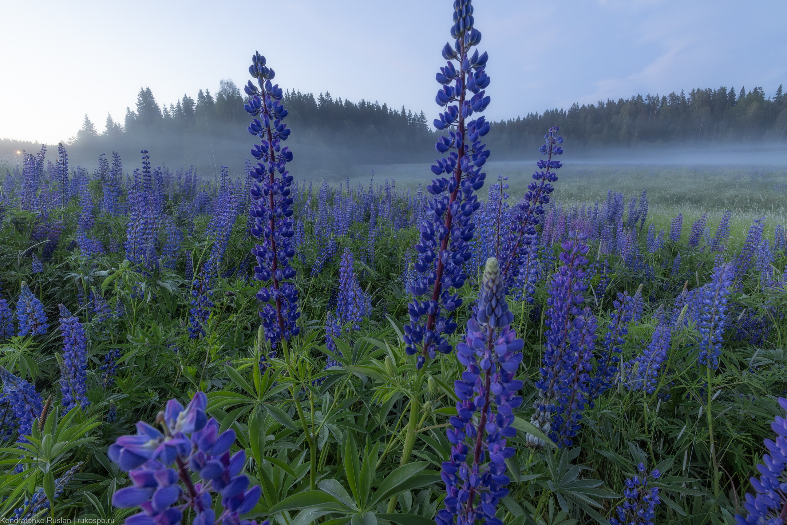 Республика Карелия. Архитектурный и пейзажный фотограф Кондратенко Руслан, Санкт-Петербург