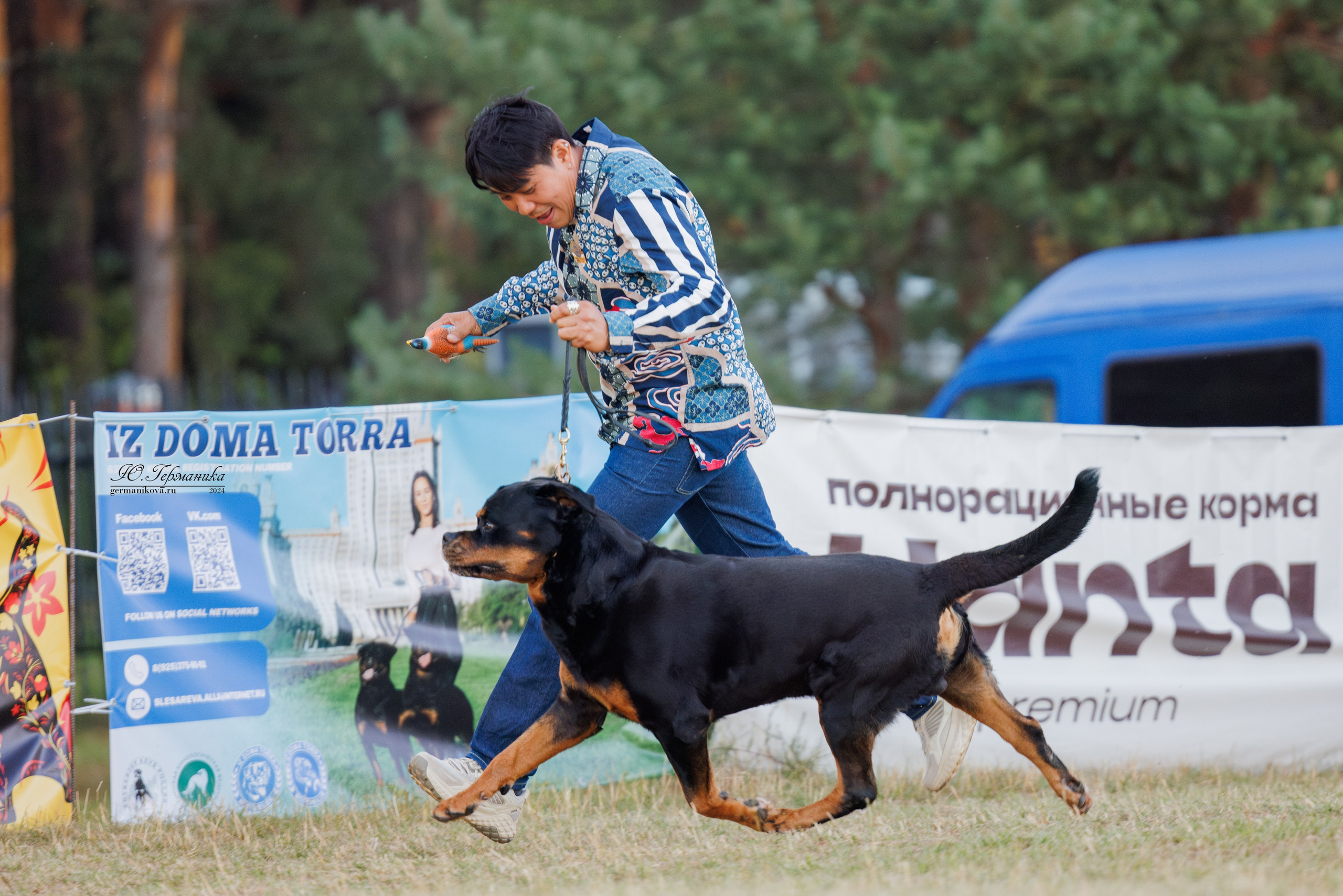 ПК и КЧК ротвейлеры Тверь 6-7.07.2024. Фотограф-анималист Юлия Германика