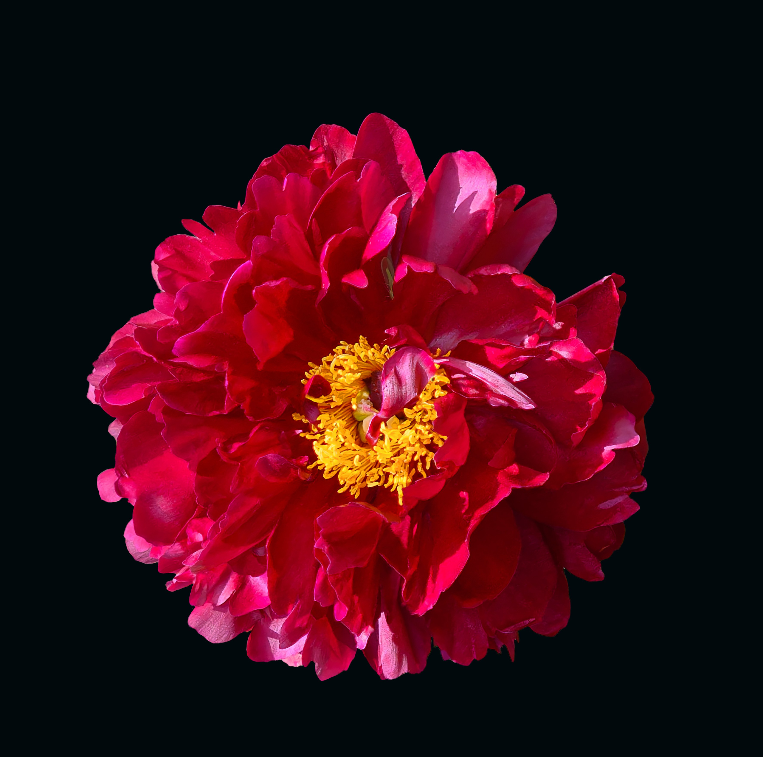 Разное. Fotolux