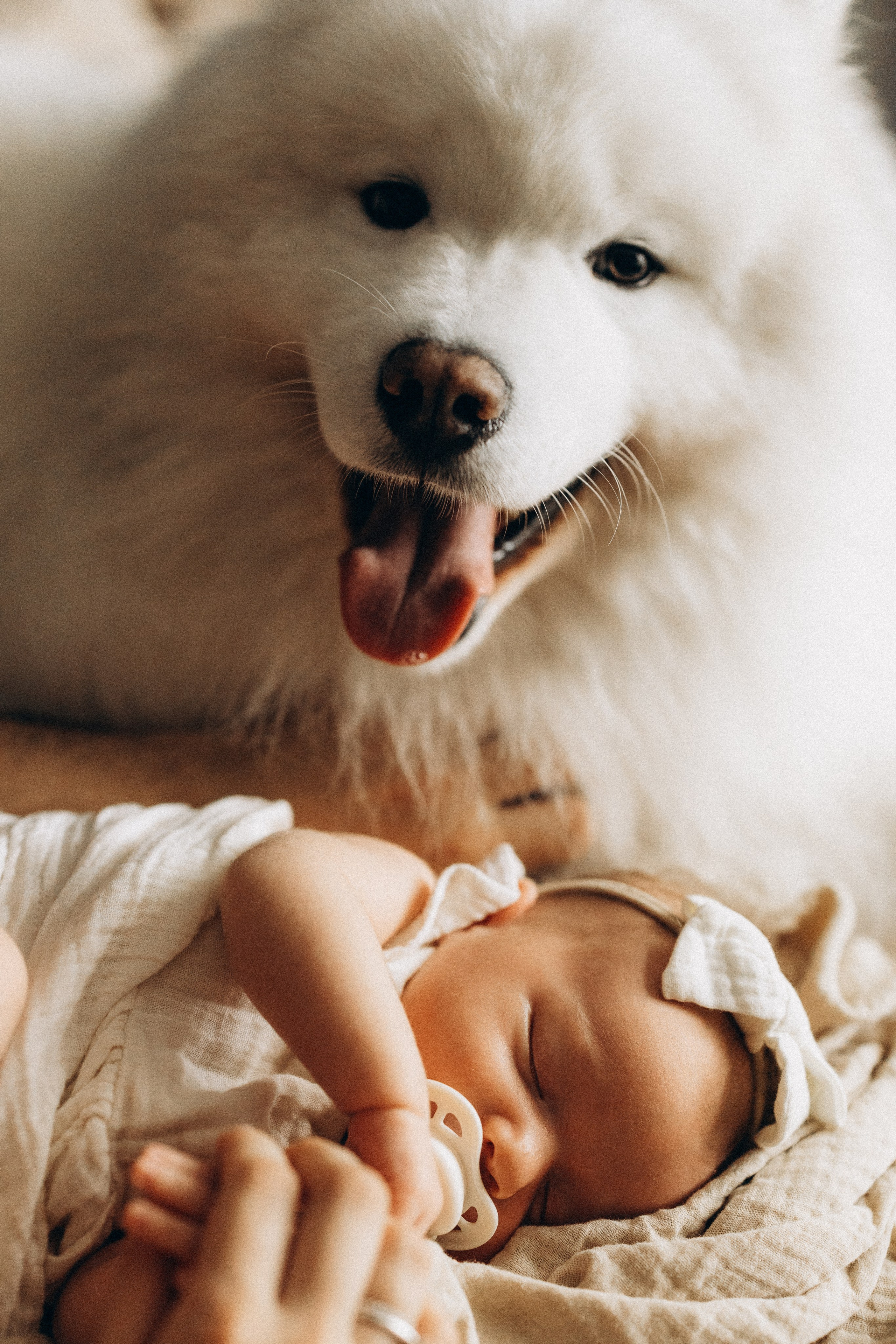 Василиса. Евгения Пелипас