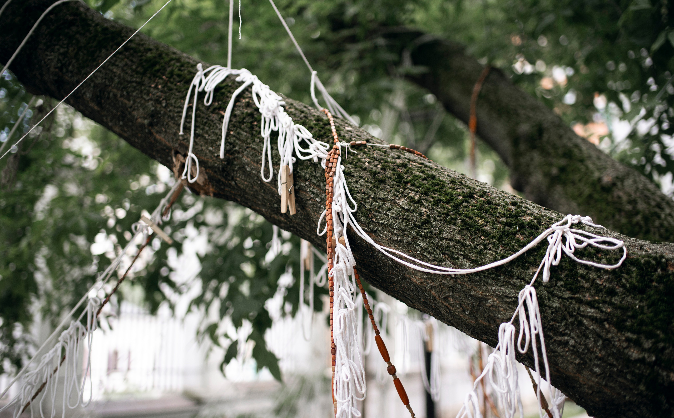 Выставка в доме Третьяковых. Фотограф в Москве Алейникова Евгения