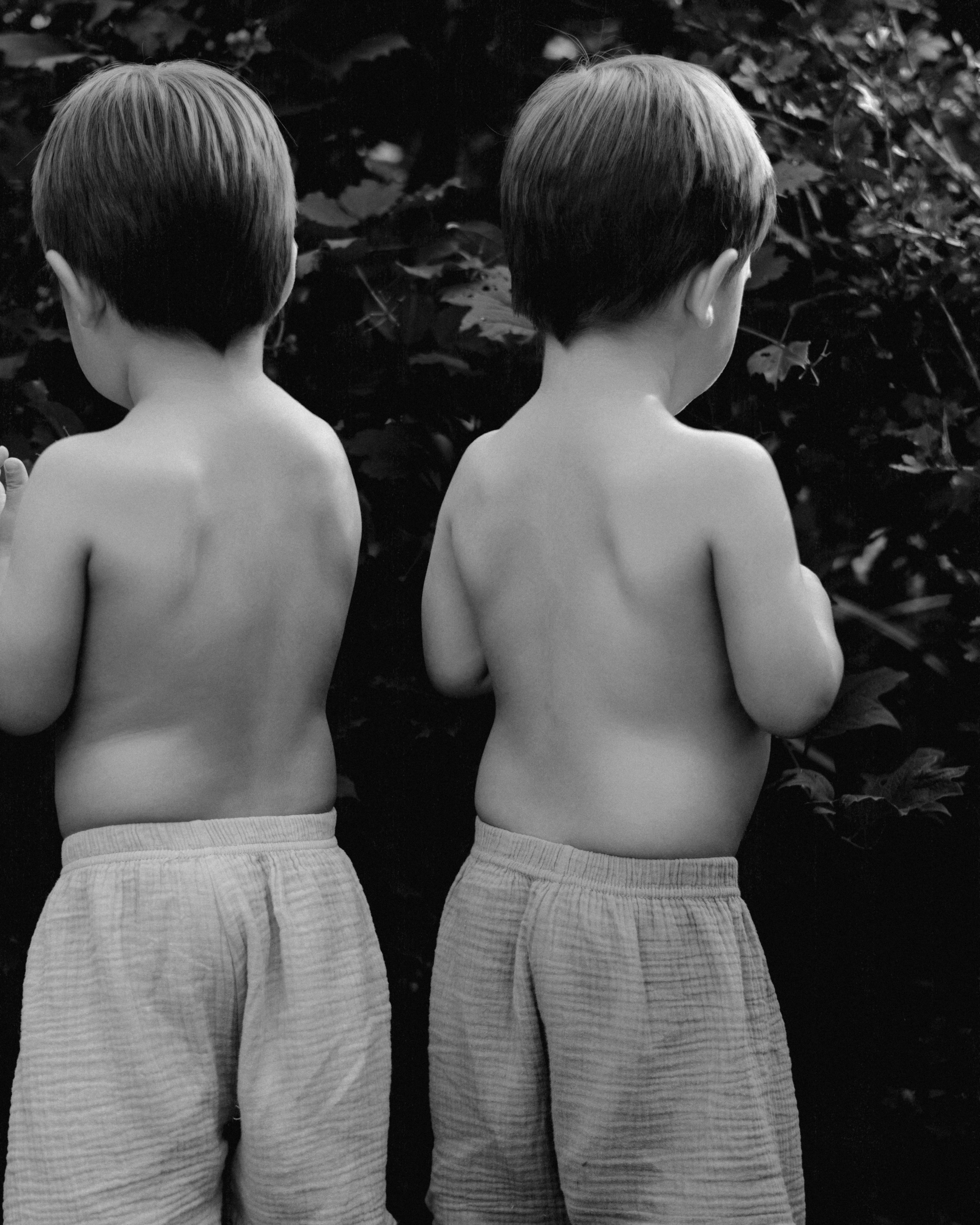 Семья. SHILOVA PHOTO. Шилова Екатерина. Фотограф. Москва