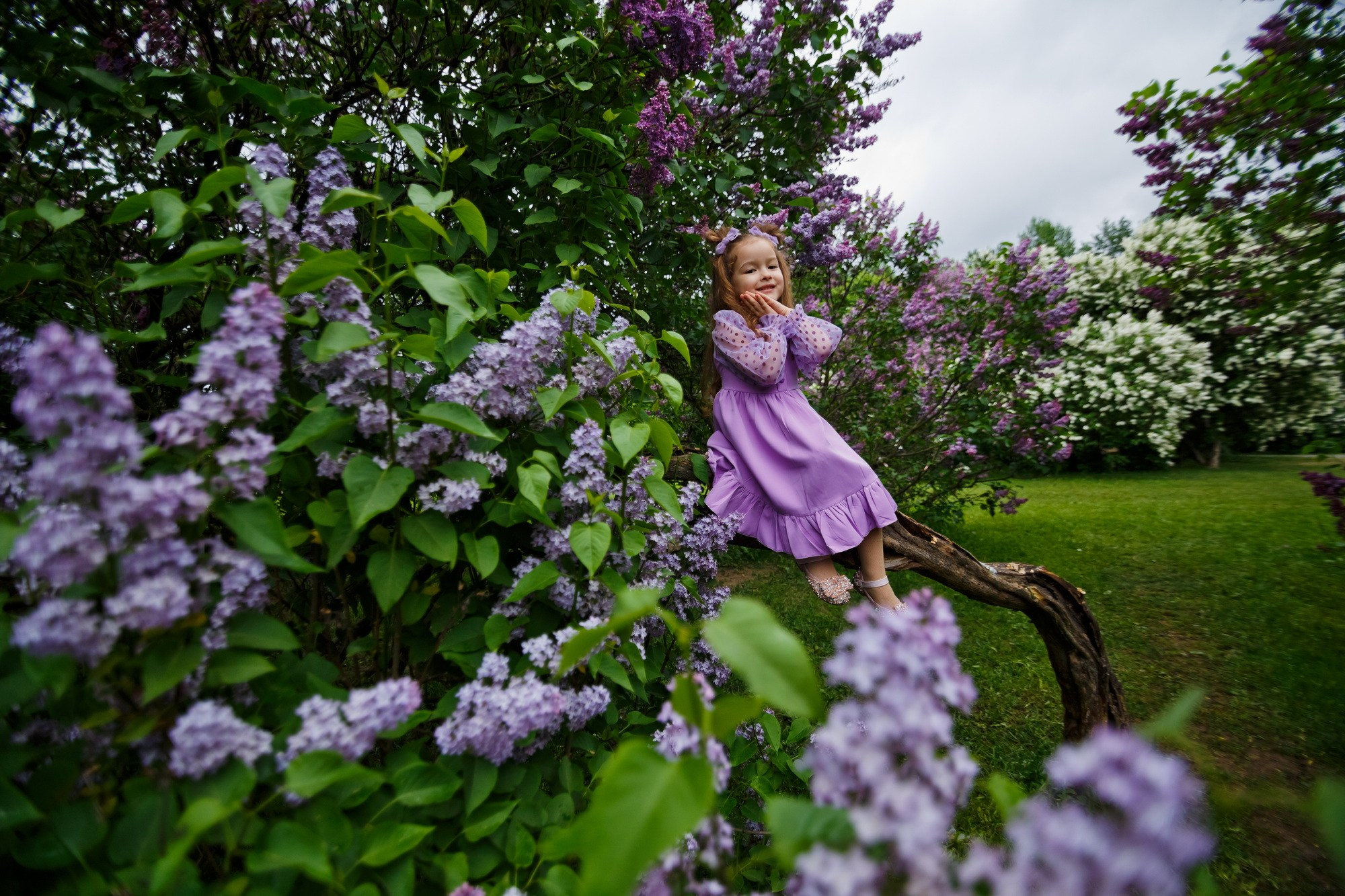 . Фотограф в Москве и Одинцово