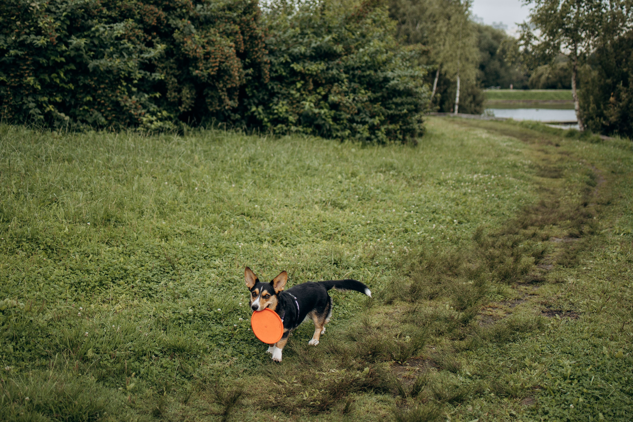 Тамара и Бусинка