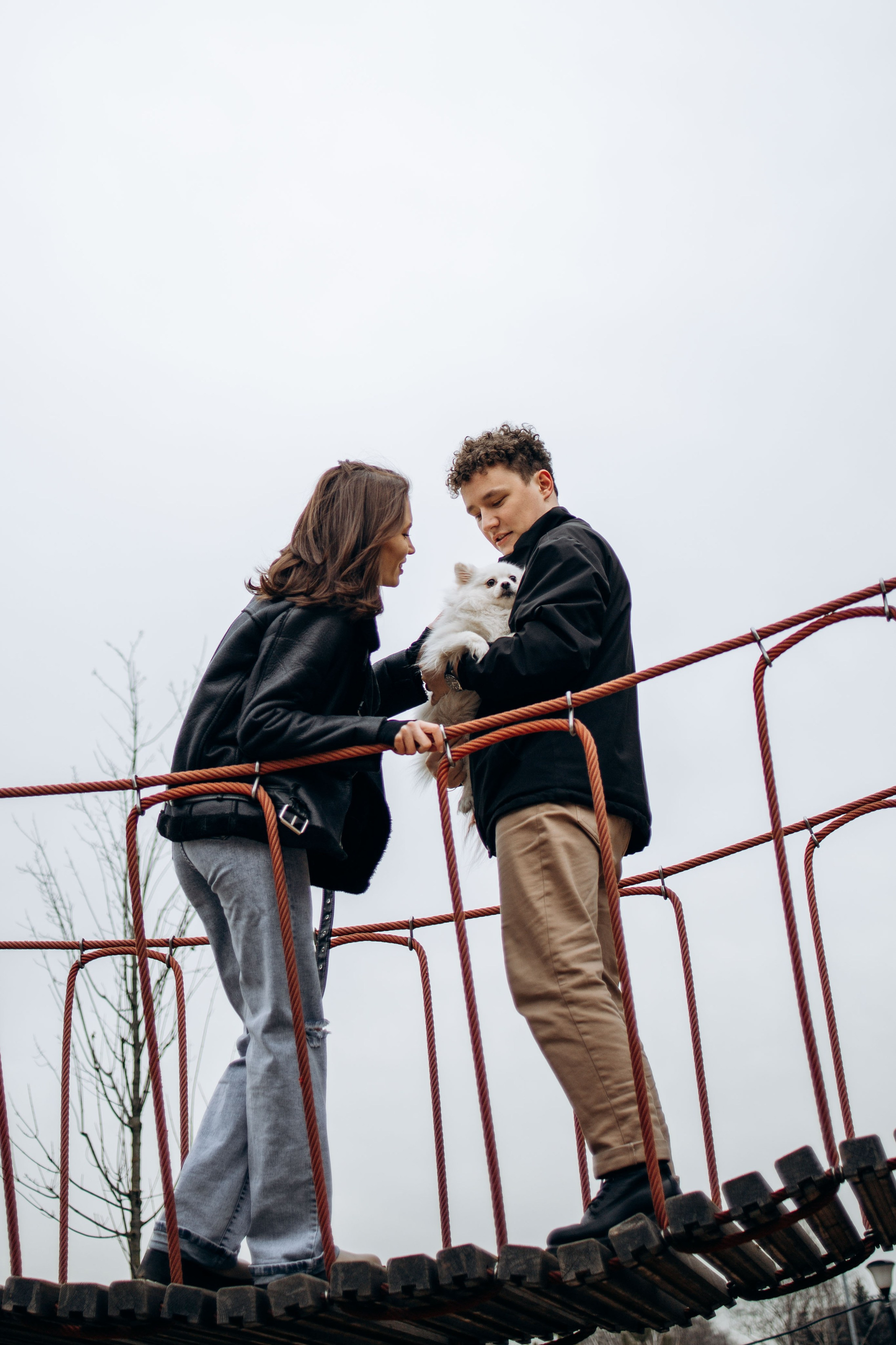 Шпиц Мася и ее семья