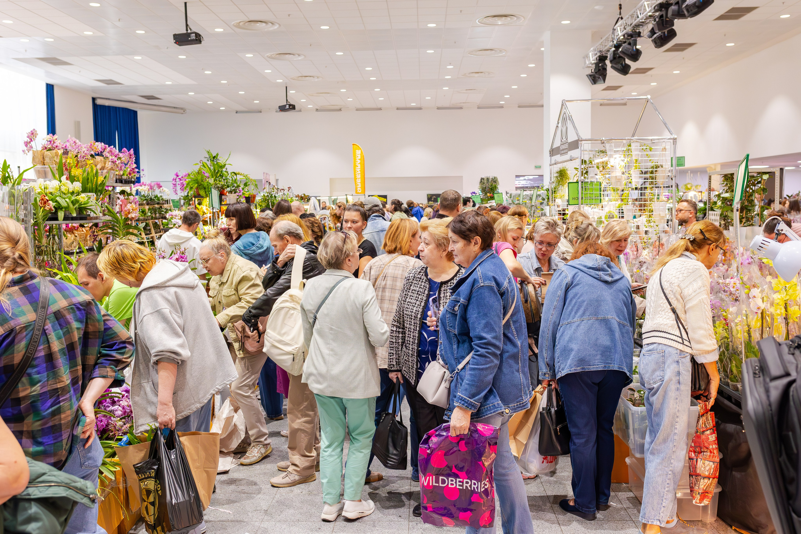 Орхидиум сентябрь 2025. Александра Куликова фотограф, Москва
