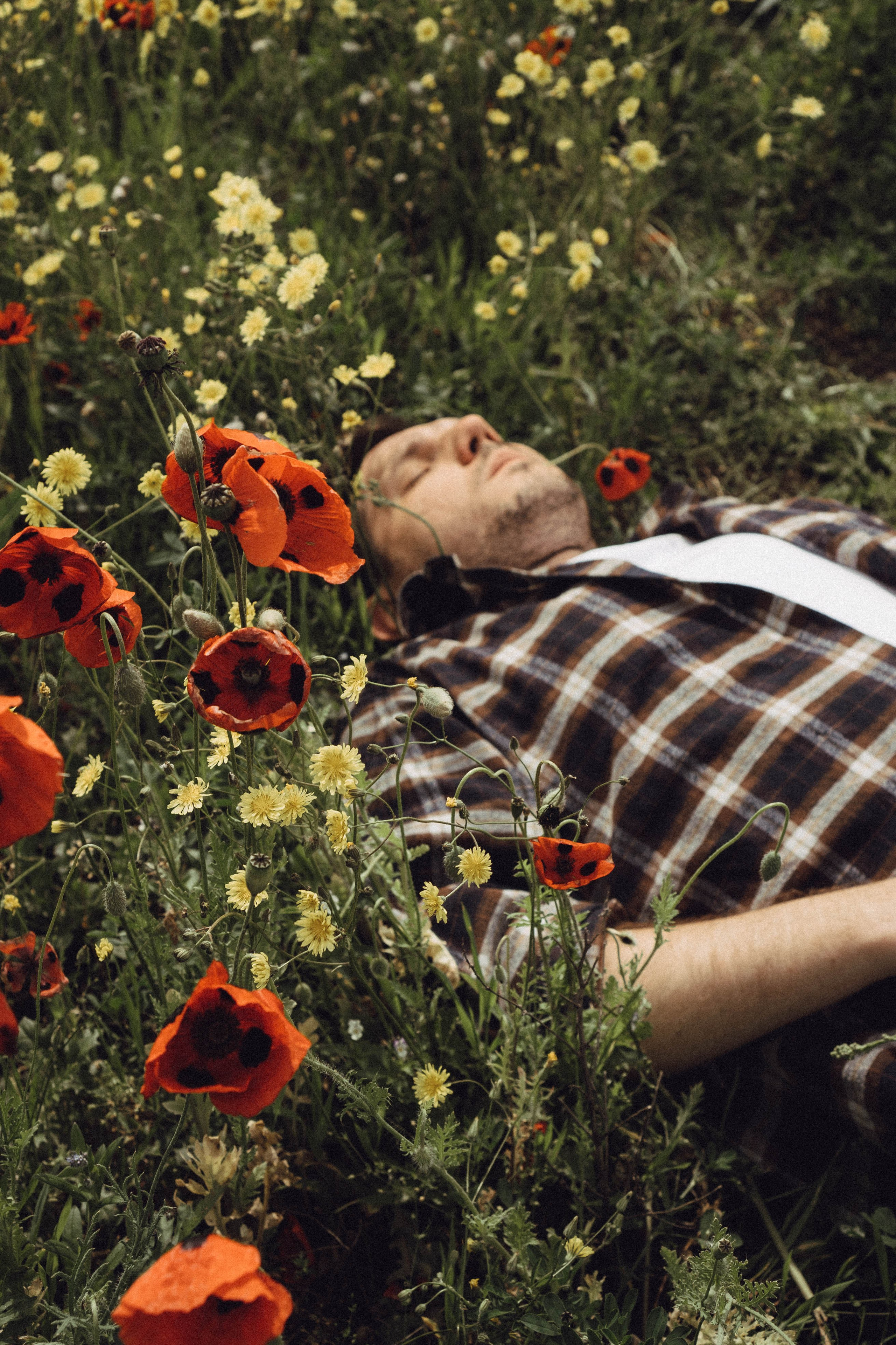 Маки. Профессиональный фотограф, Санкт-Петербург — Виктория Богомолова
