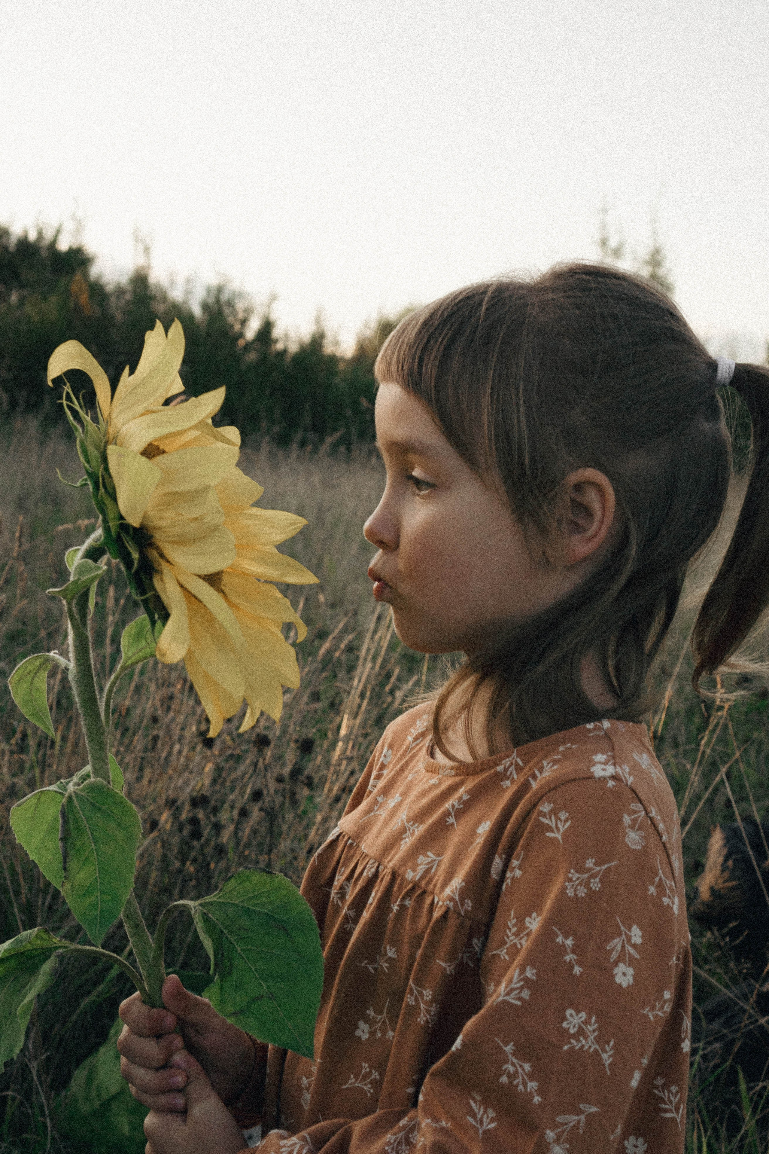 Семейная серия. Профессиональный фотограф, Санкт-Петербург — Виктория Богомолова
