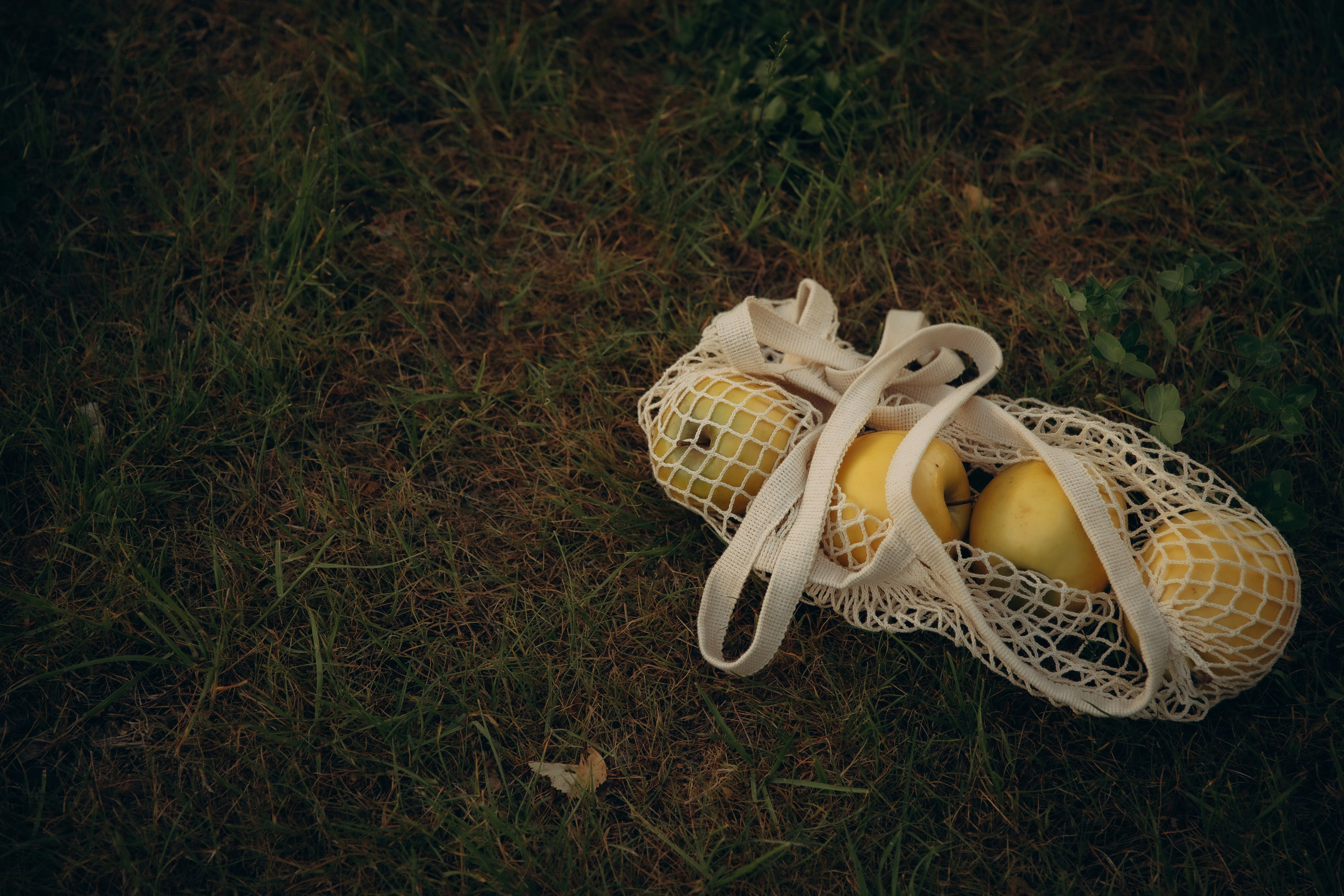 Прогулка с Яблочным перекусом. Фотограф  Челябинск Варвара Шарапова