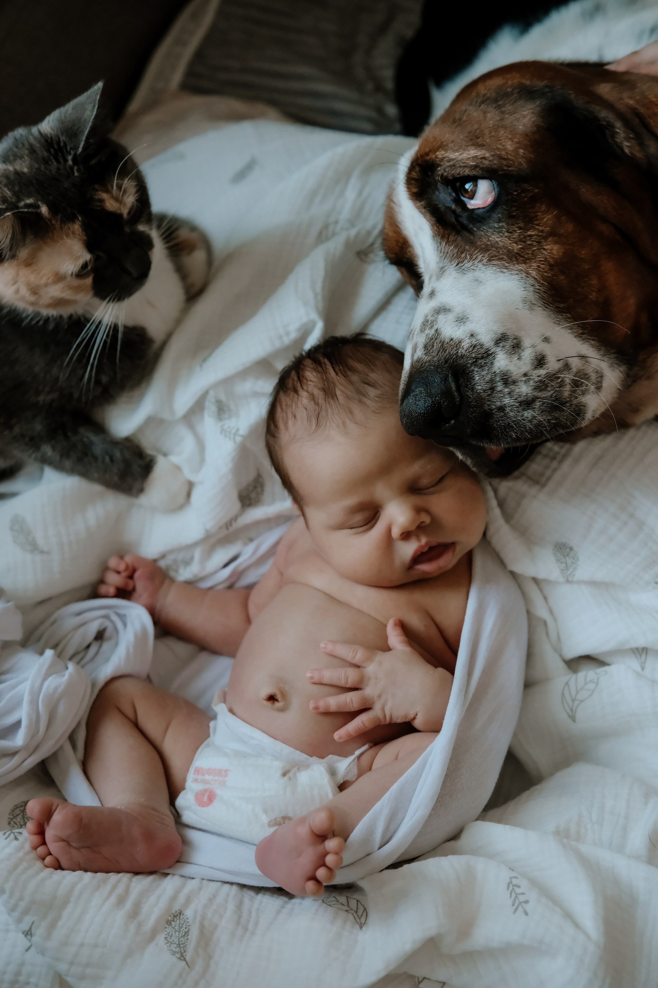 Новорожденные LIFE. Ньюборн и детский фотограф в Москве Шигина Марина
