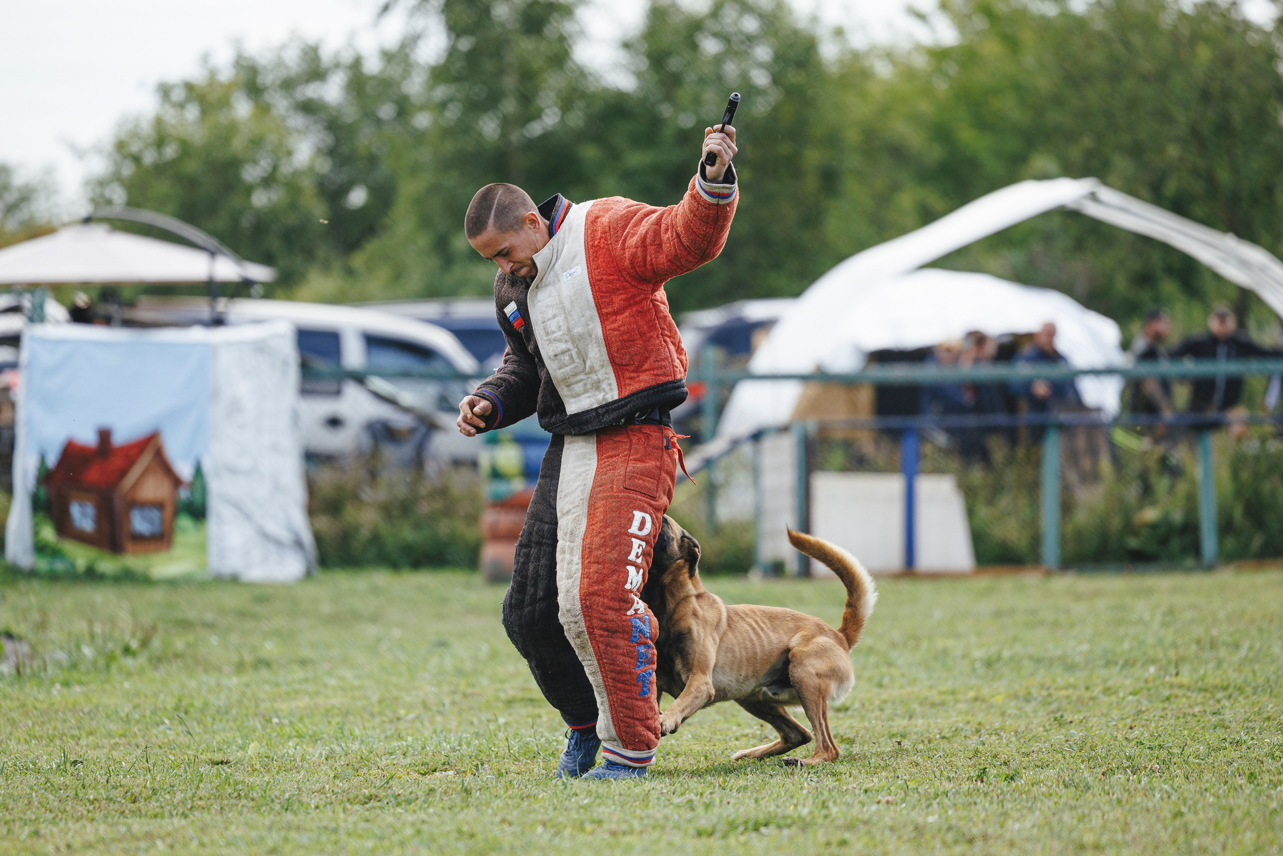 08.08.25-10.08.25 ЧР по мондьорингу г. Вологда. Фотограф-анималист Анна Маринич