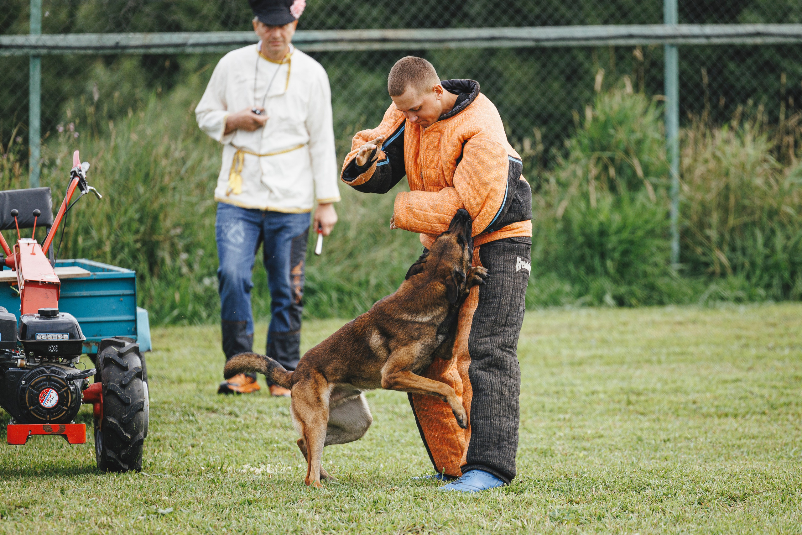 08.08.25-10.08.25 ЧР по мондьорингу г. Вологда. Фотограф-анималист Анна Маринич