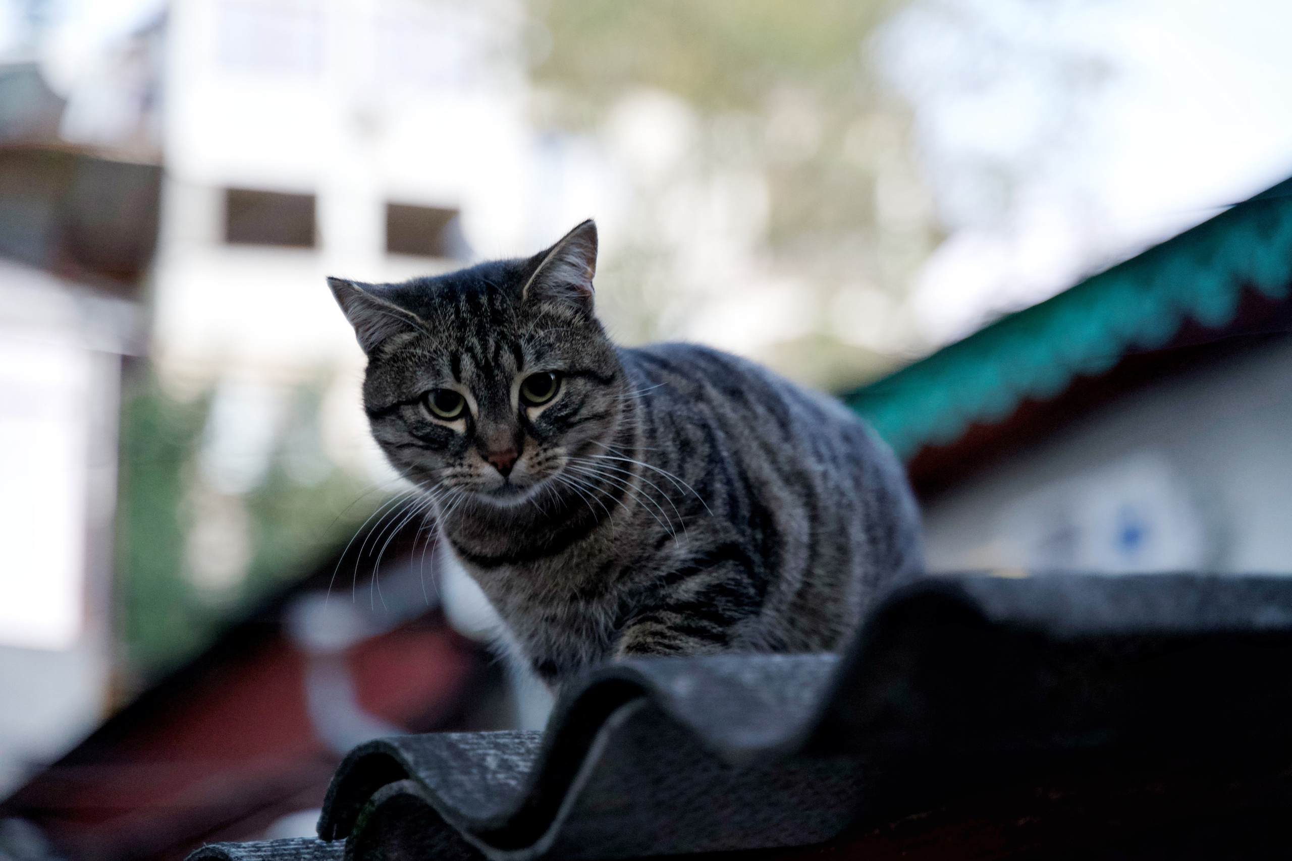 ПРИРОДА. Разноплановый фотограф из Москвы/Твери