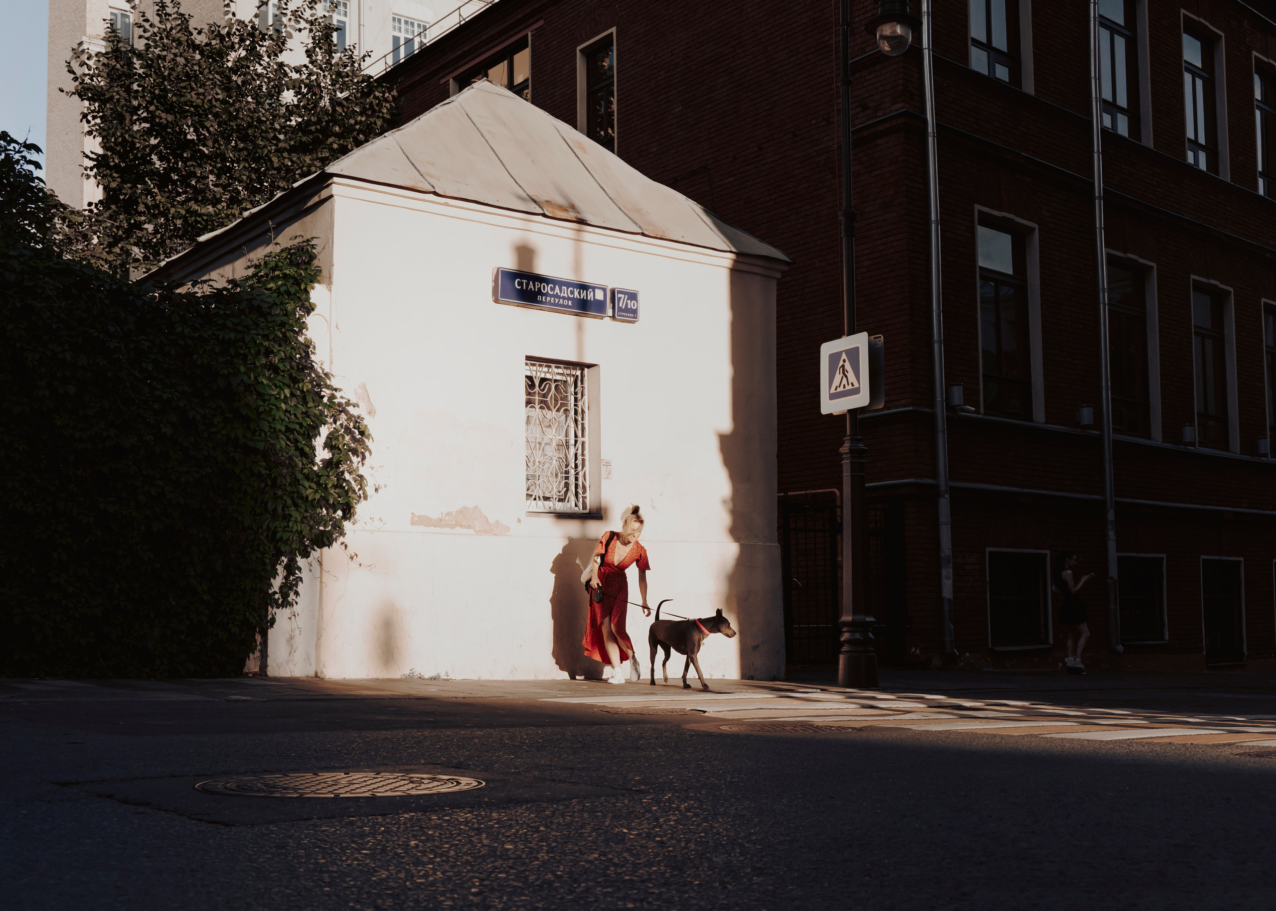 Шарма. Фотограф- анималист Александра Матвеева