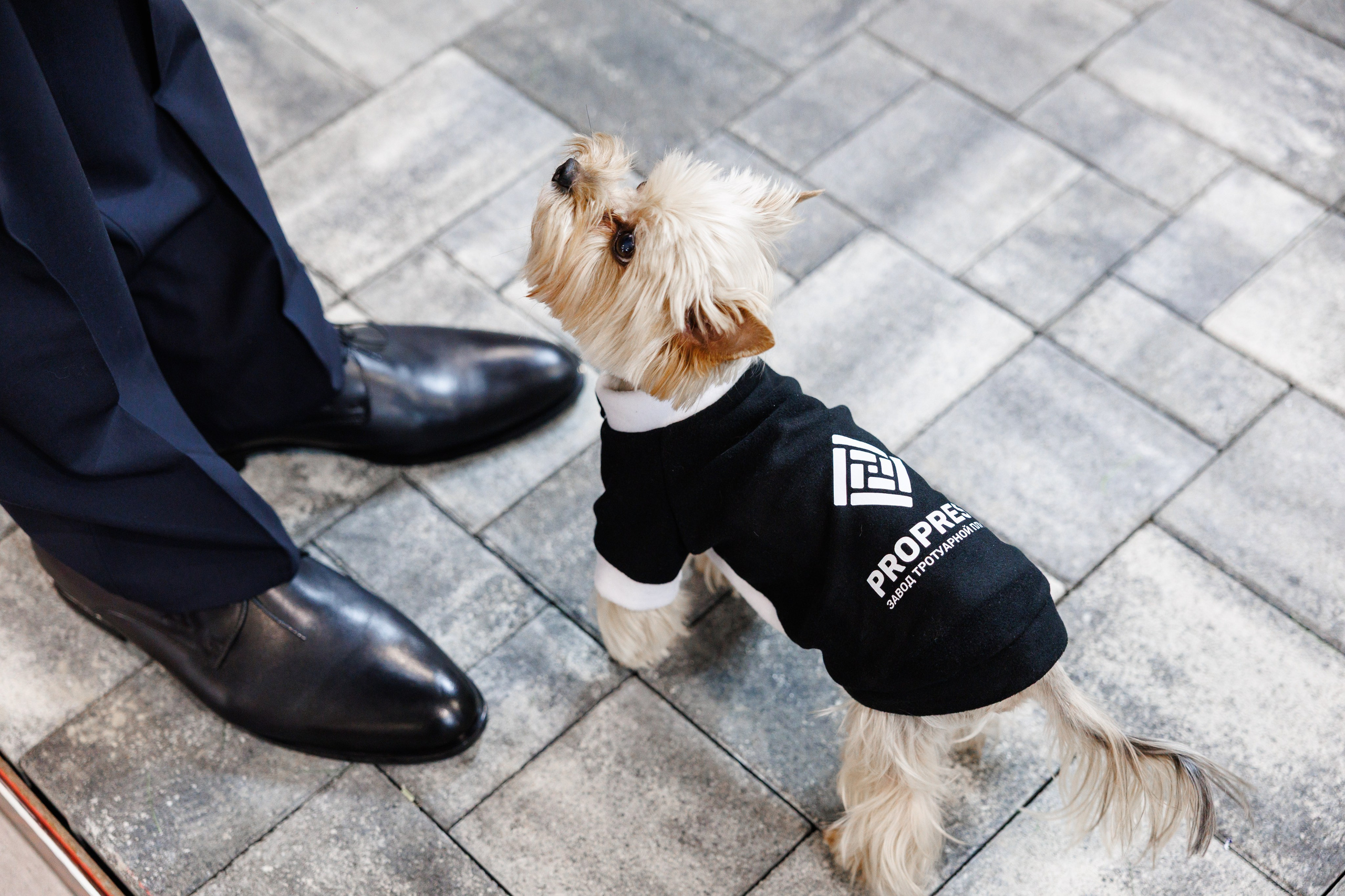 Экспоград Юг | Юг Билд. Фотограф Ставрополь Петр Голубенко