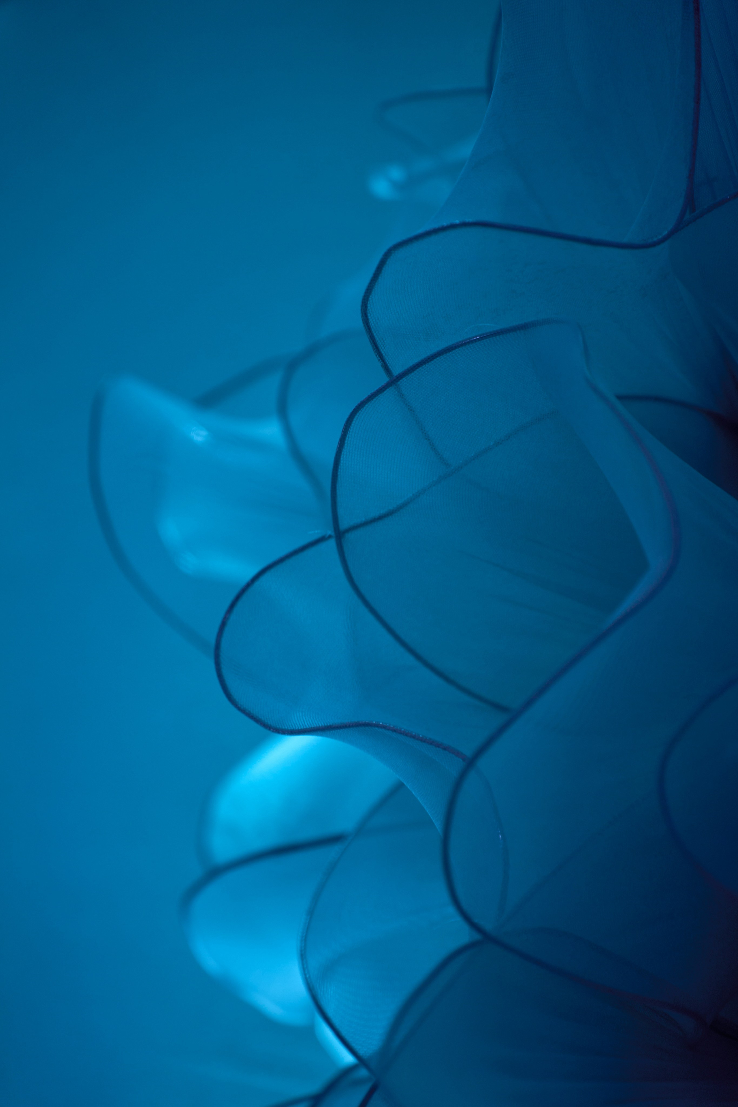 Красивое сватовство со звездами в Сид Холе в Пятигорске! ТВИНС СТУДИО. ТВИНС СТУДИО — лучшие свадебные фотографы и видеографы в Краснодаре