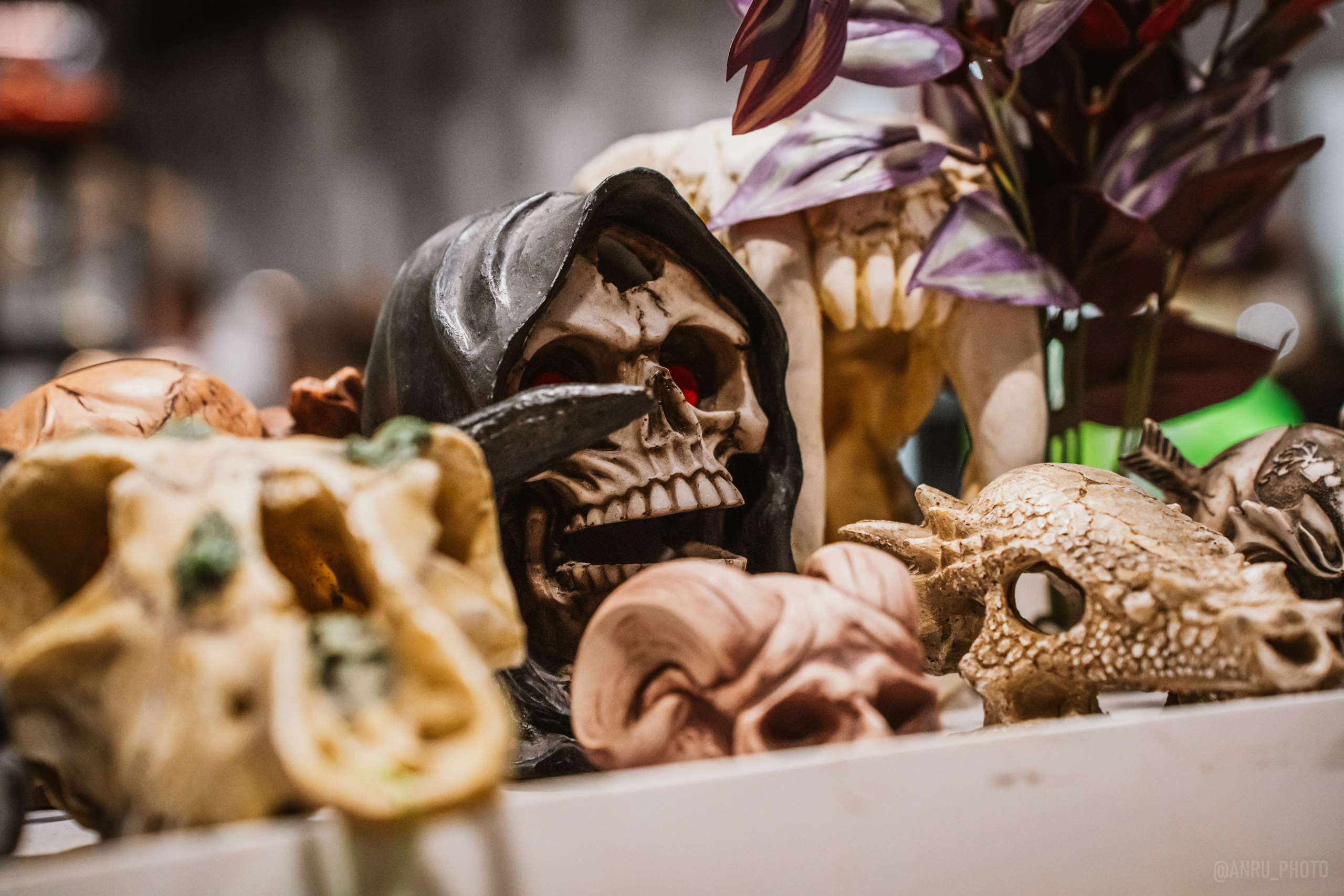 Рептилиум (ручная работа). Репортажный фотограф Анастасия Рубцова