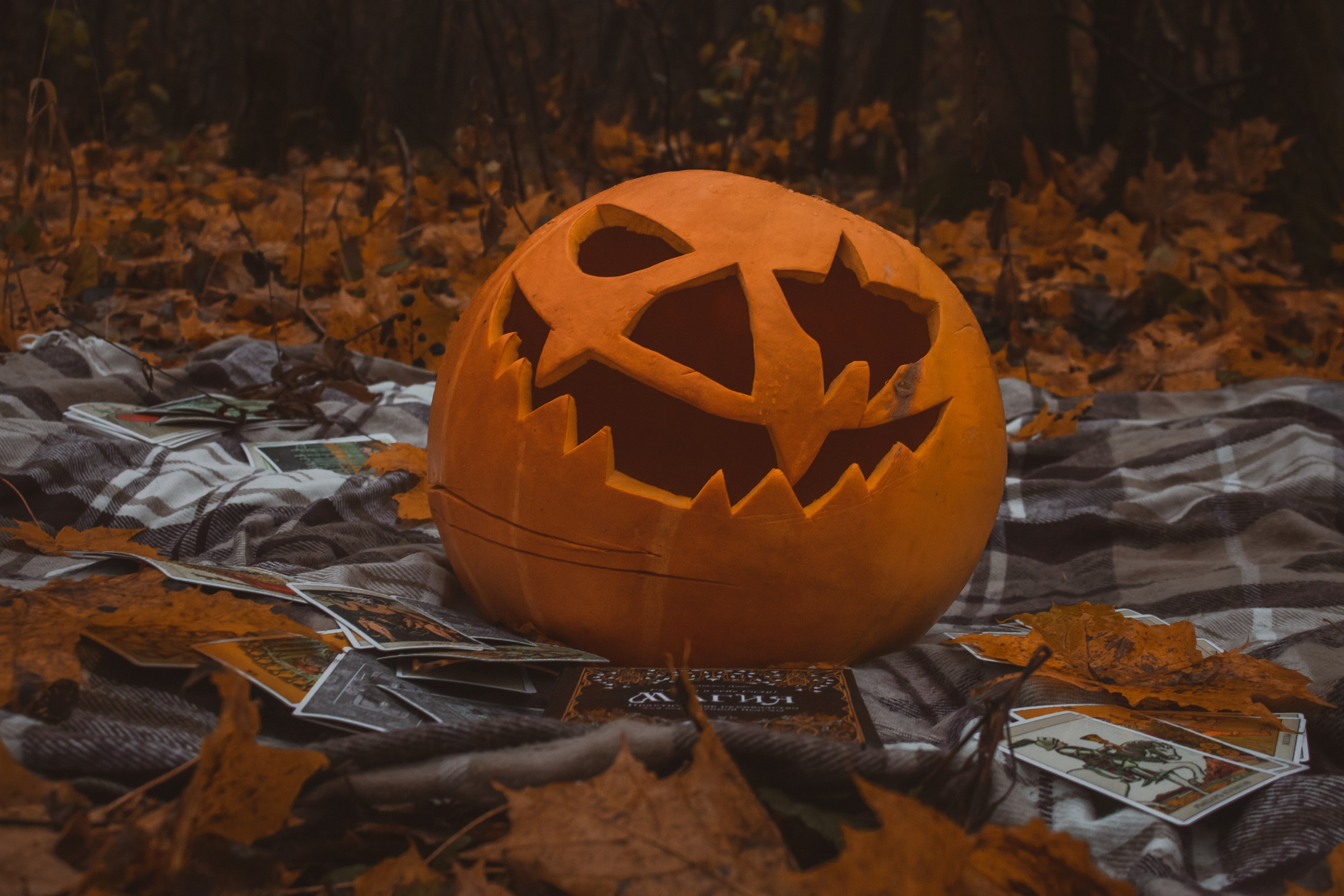 Хэллоуин 2023. Репортажный фотограф Анастасия Рубцова