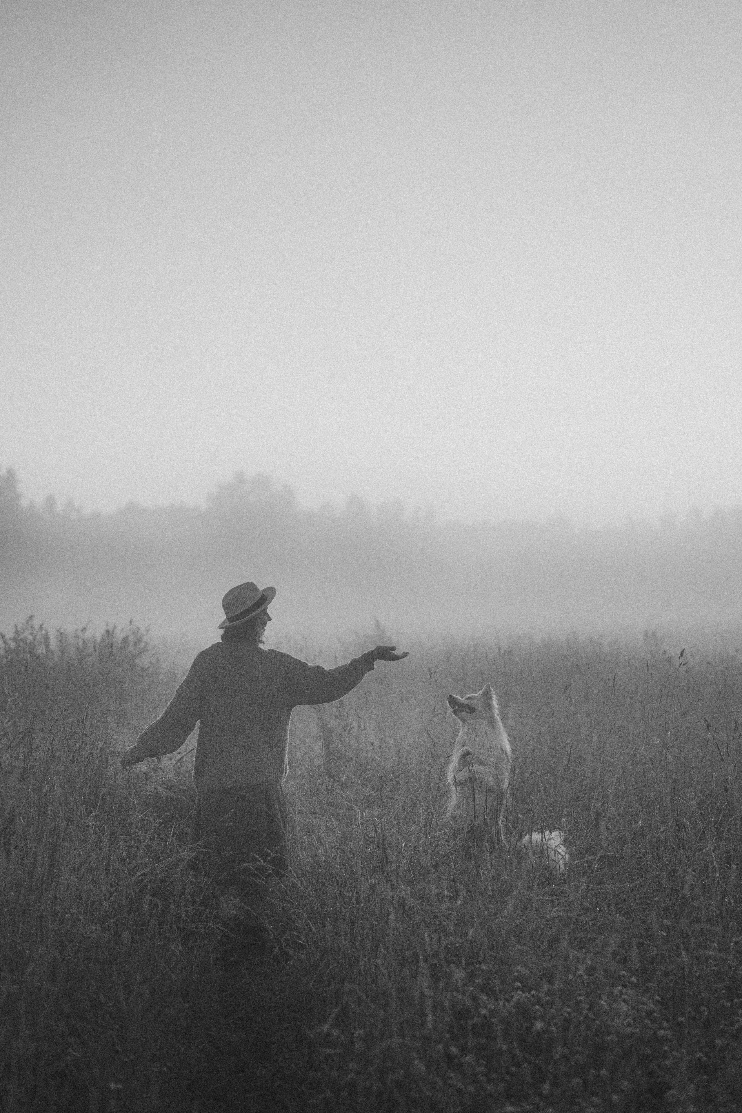 Рина и Марси. Фотограф анималист в Москве и Санкт-Петербурге Свиридова Анна