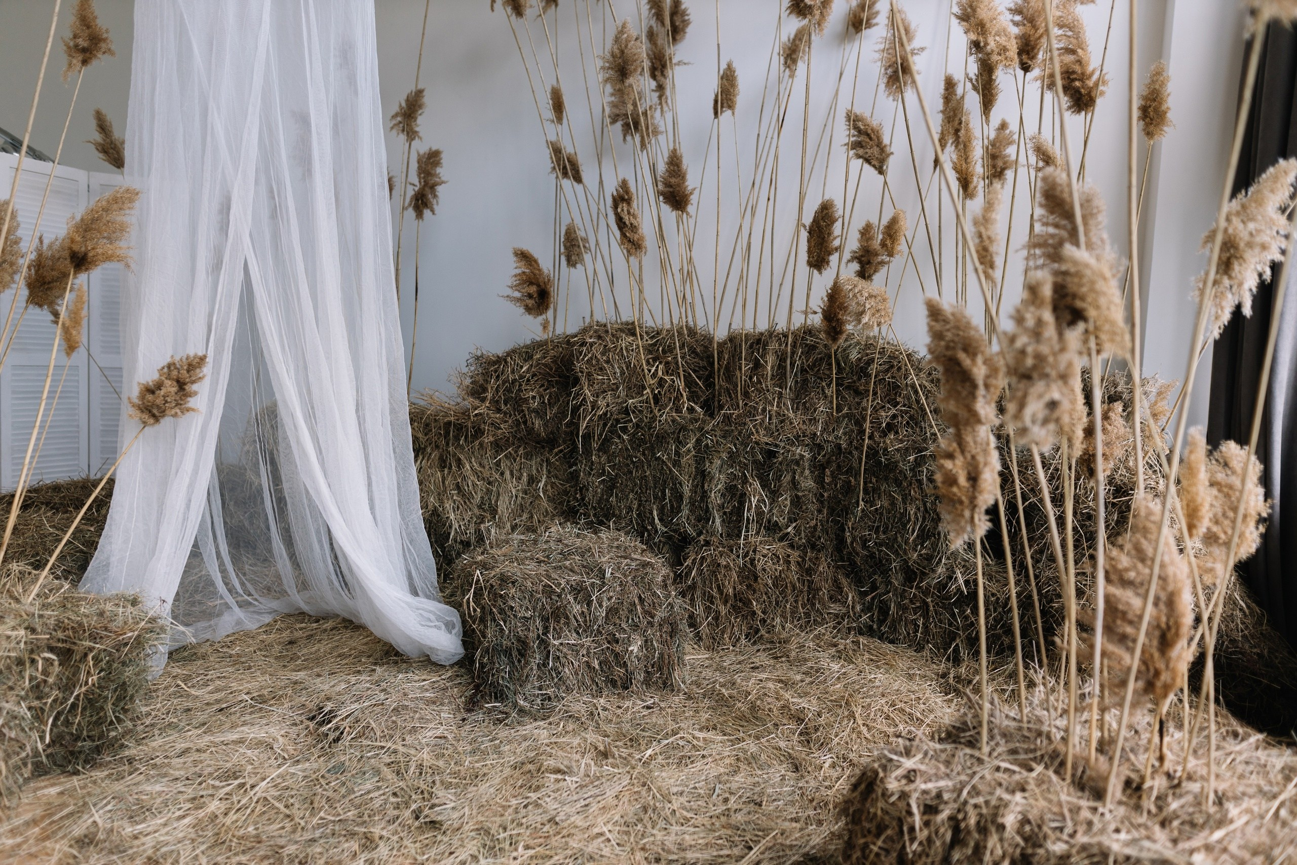 Мои проекты. Кристина Киссер |Фотограф | сняла ⩾ 2000 съёмок | главная по атмосфере