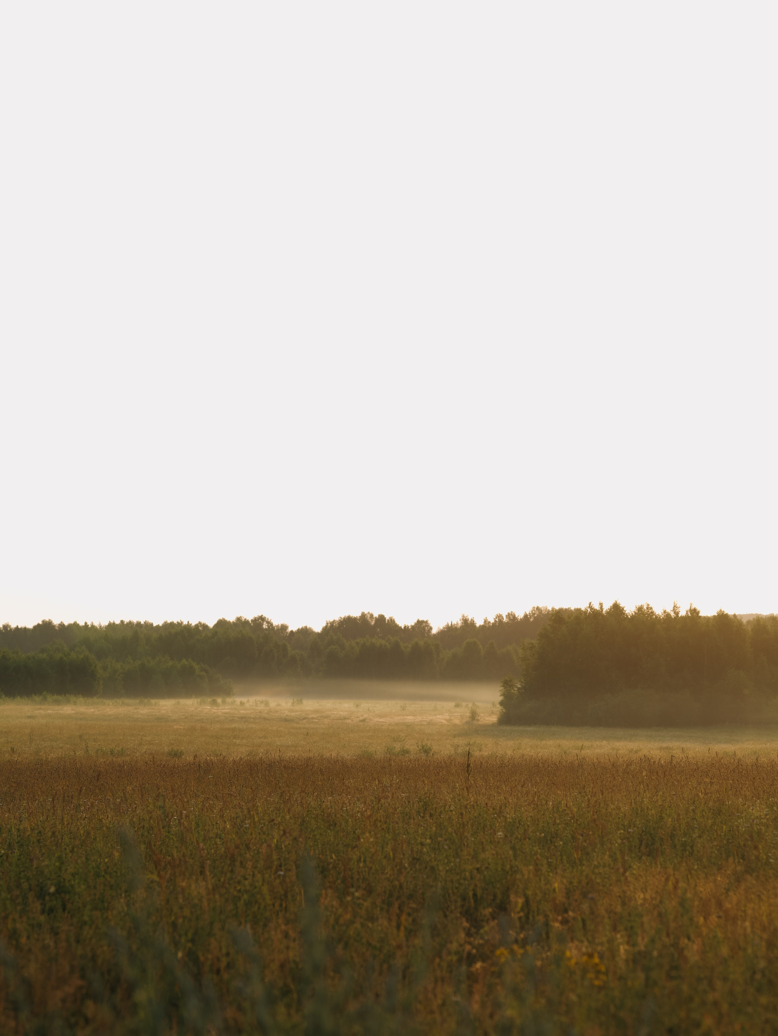 Матушка Софья. Алёна Стерхова — Предметный и портретный фотограф. Ижевск