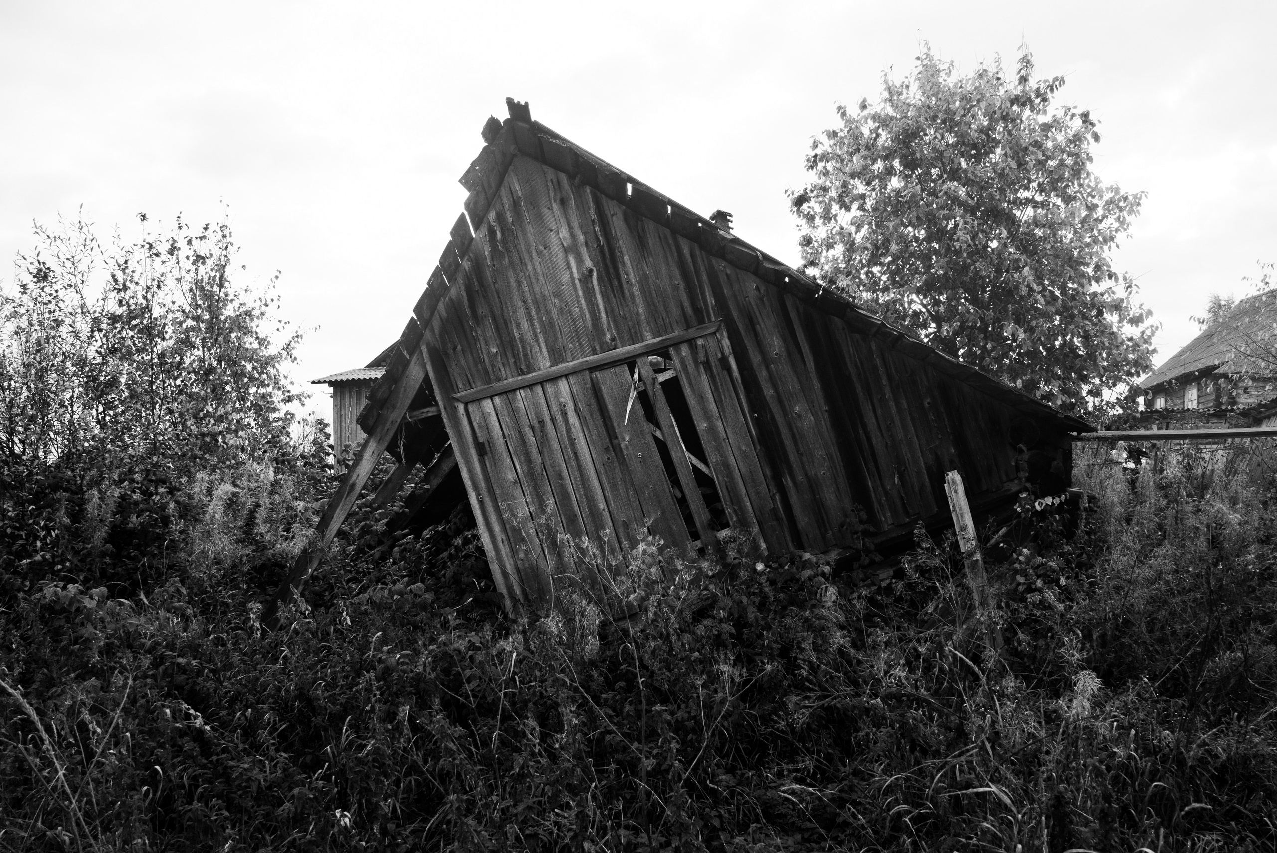Деревня / Север II. Фотограф Антон Денисенко: Портрет, Документалистика, Пейзаж. Москва