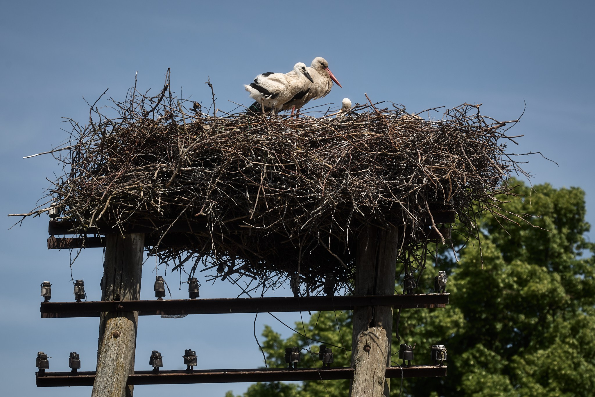 Стрит / Архитектура / Путешествия. Портретный, интерьерный и фуд фотограф в Перми Иван Вострецов