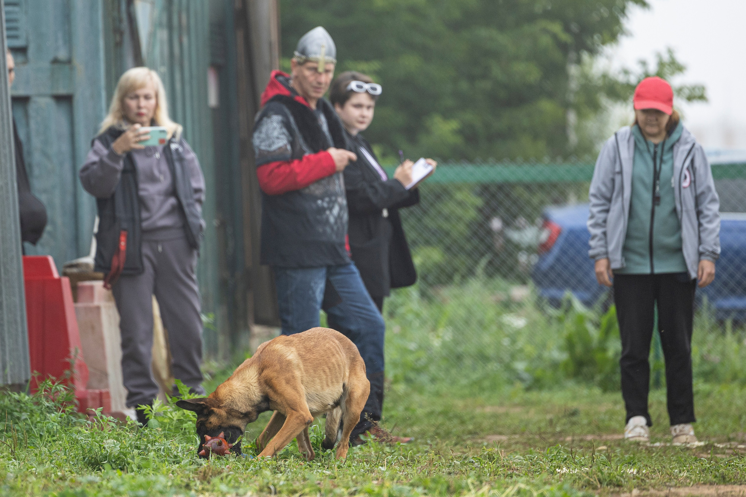 Соревнования по Мондьорингу г. Вологда 10-11.08.2024. Фотограф-анималист Анна Маринич