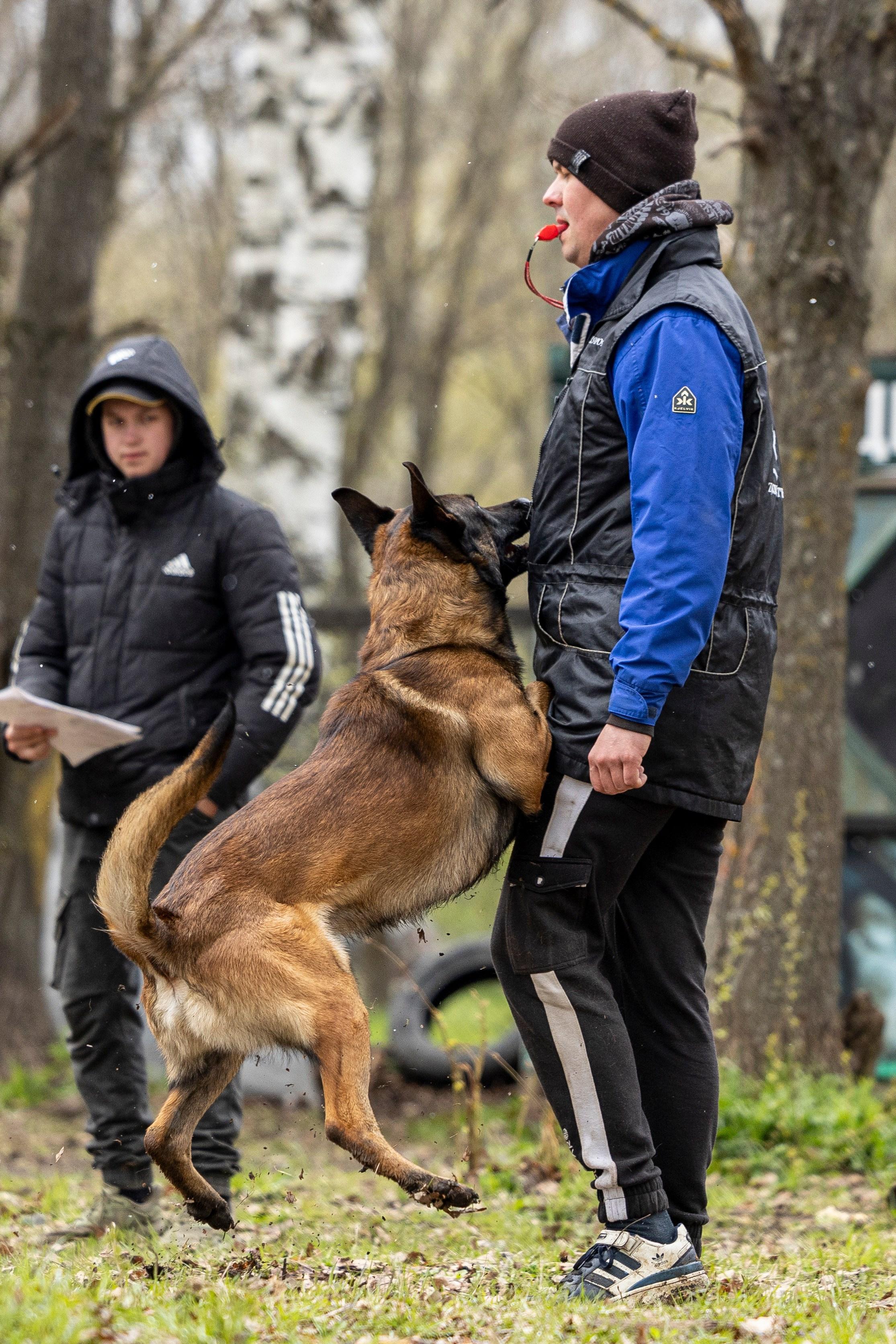 Квалификационные состязания по мондьорингу г. Вологда 11.05.24. Фотограф-анималист Анна Маринич