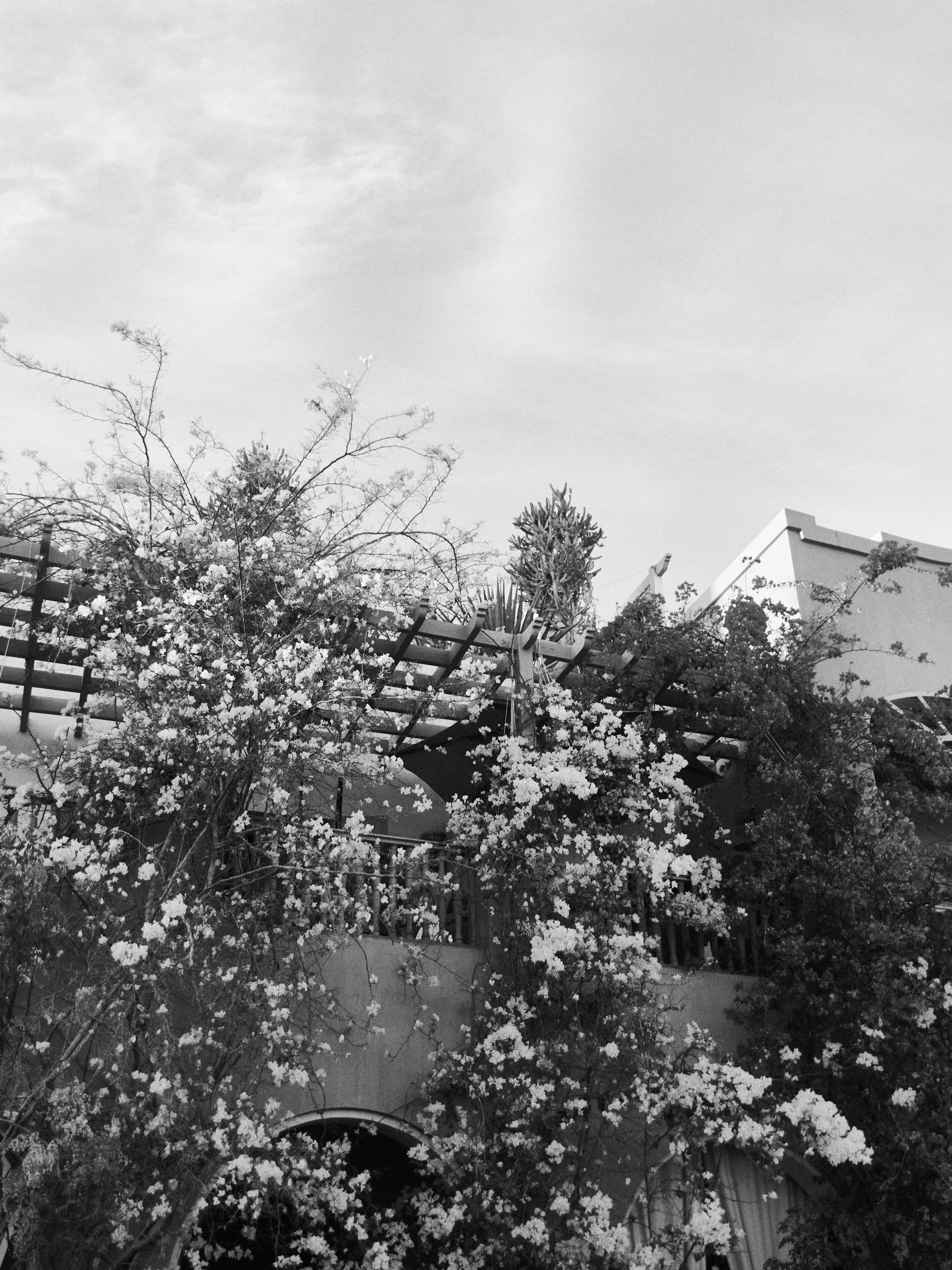 B&W. Jorgis — фотограф в Хургаде / обучение фотографии