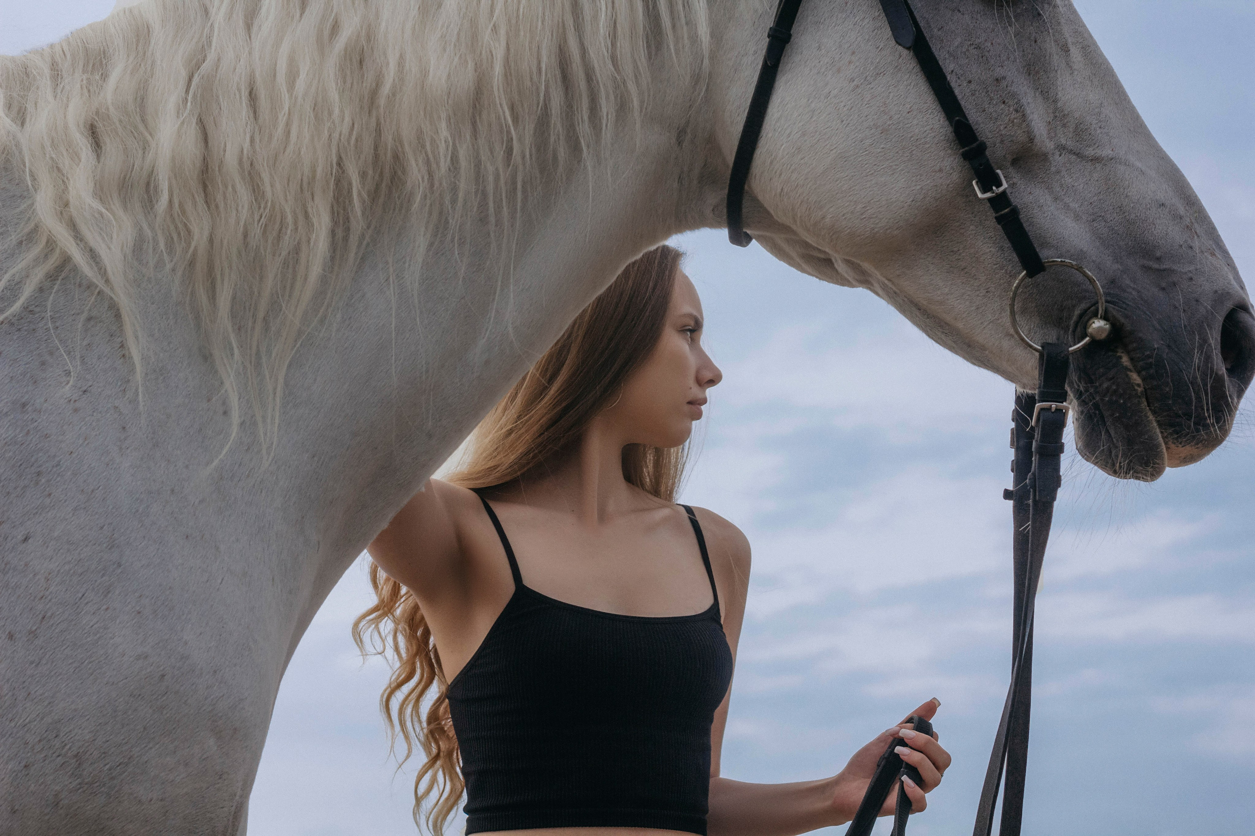 Конная фотосессия. Фотограф Новосибирск Алина Клименкова