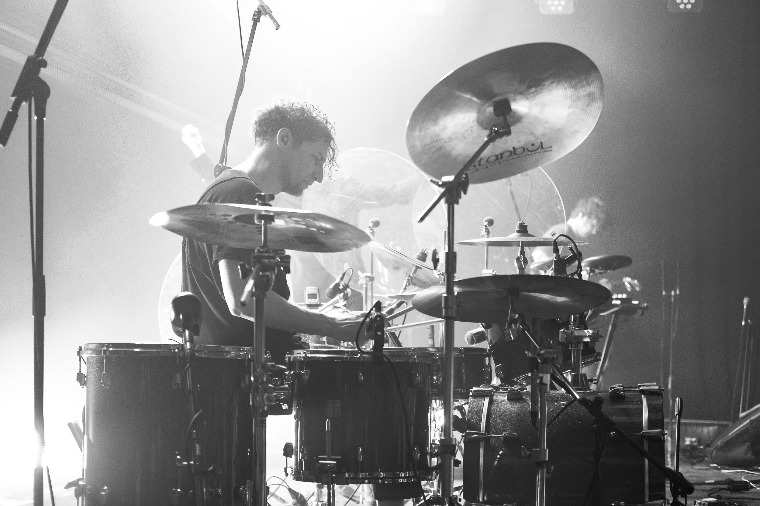 Дельфин. Репортажный фотограф Алексей Пирязев