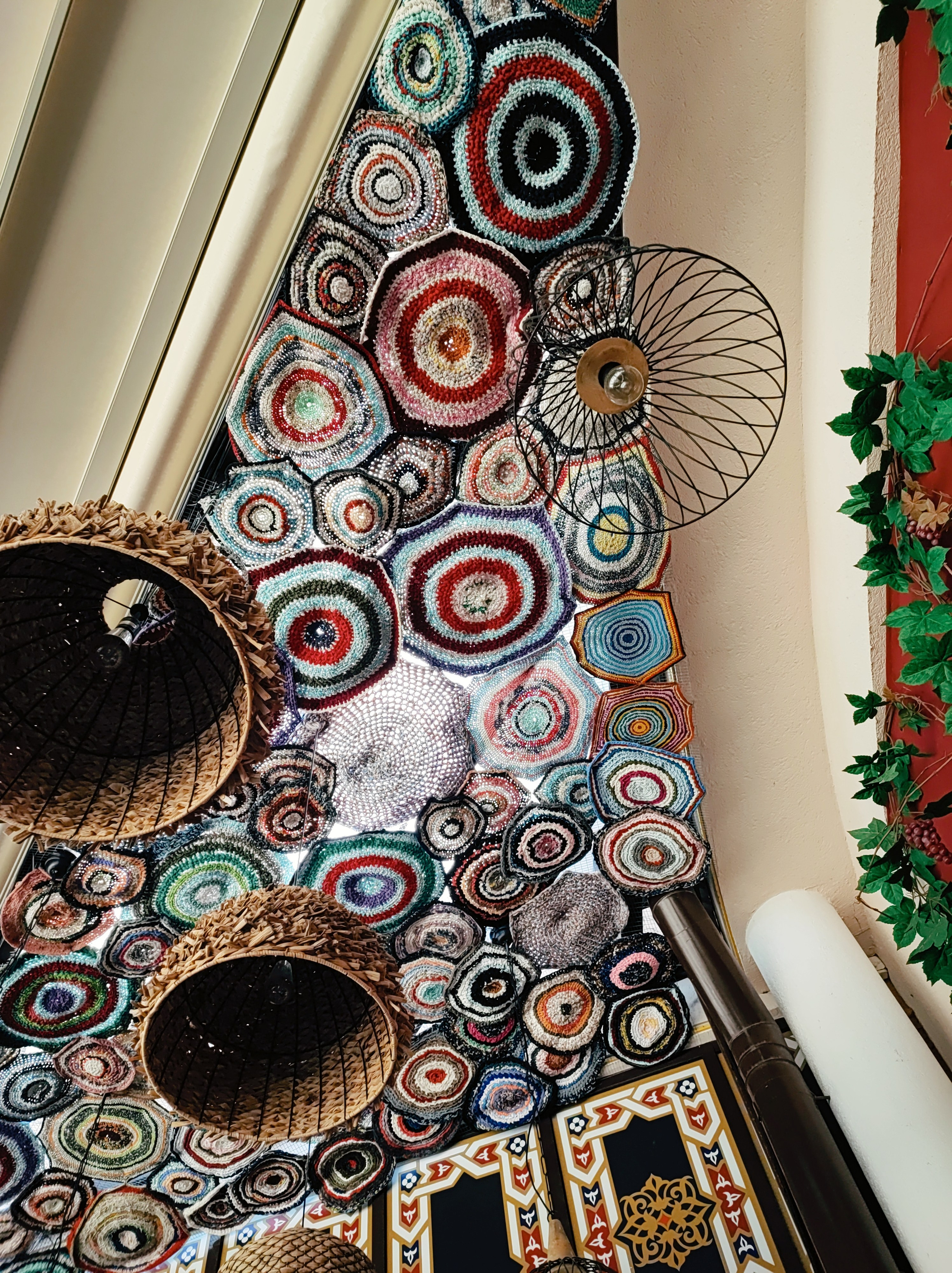 Намобилкус кавказский. Репортажный фотограф Алексей Пирязев