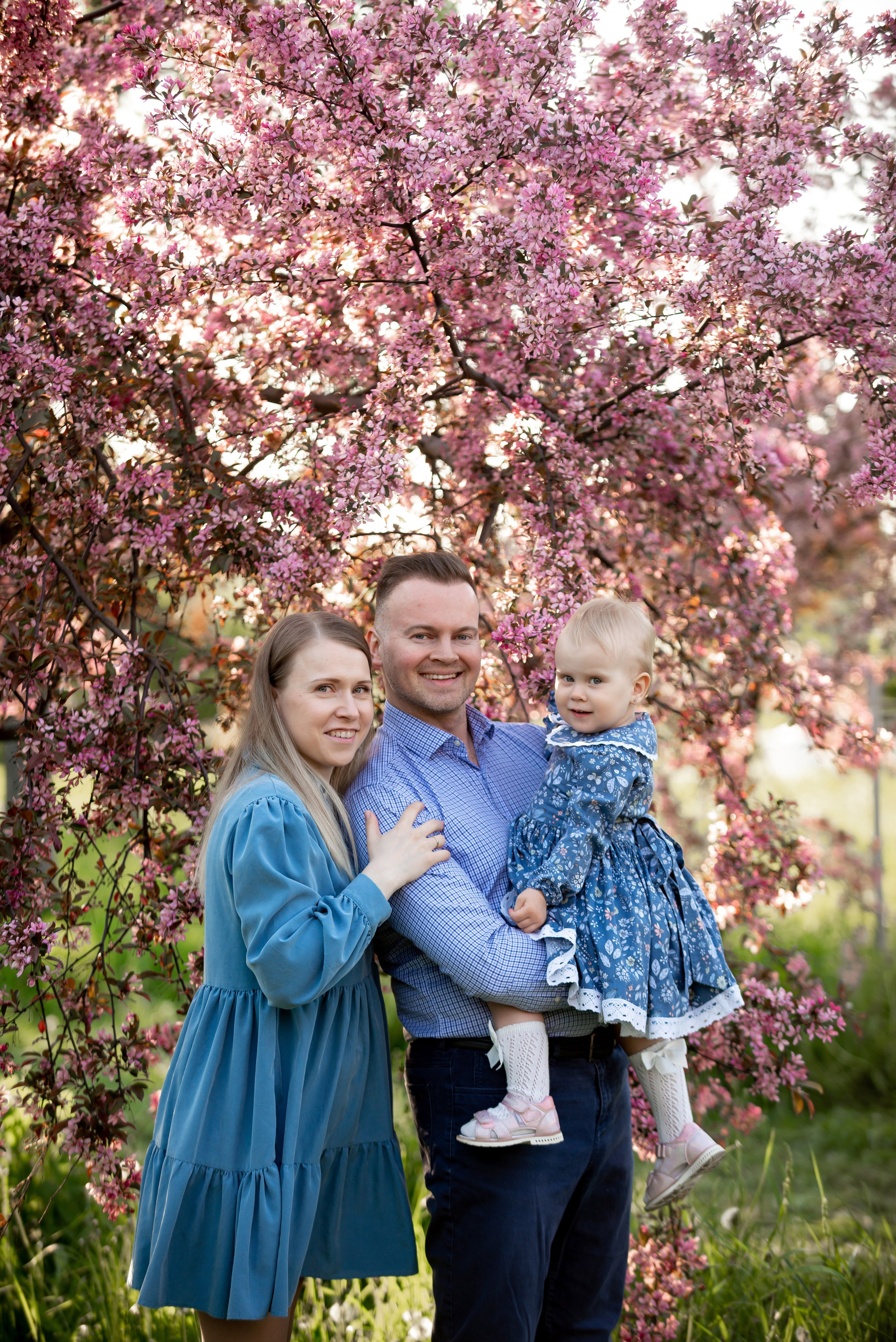 Ника и родители в розовых яблонях. Портретный, семейный и свадебный фотограф в Санкт-Петербурге и в Пушкине Ширяев Денис
