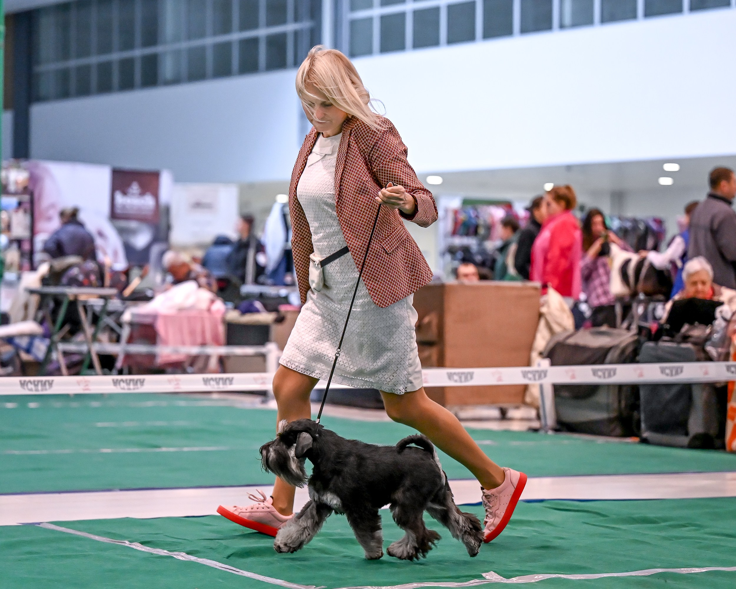 Delinso Balance Chivas Regal (Li Mu Zi Chinese Dragon x Delinso Balance Onyrico Tahoe)