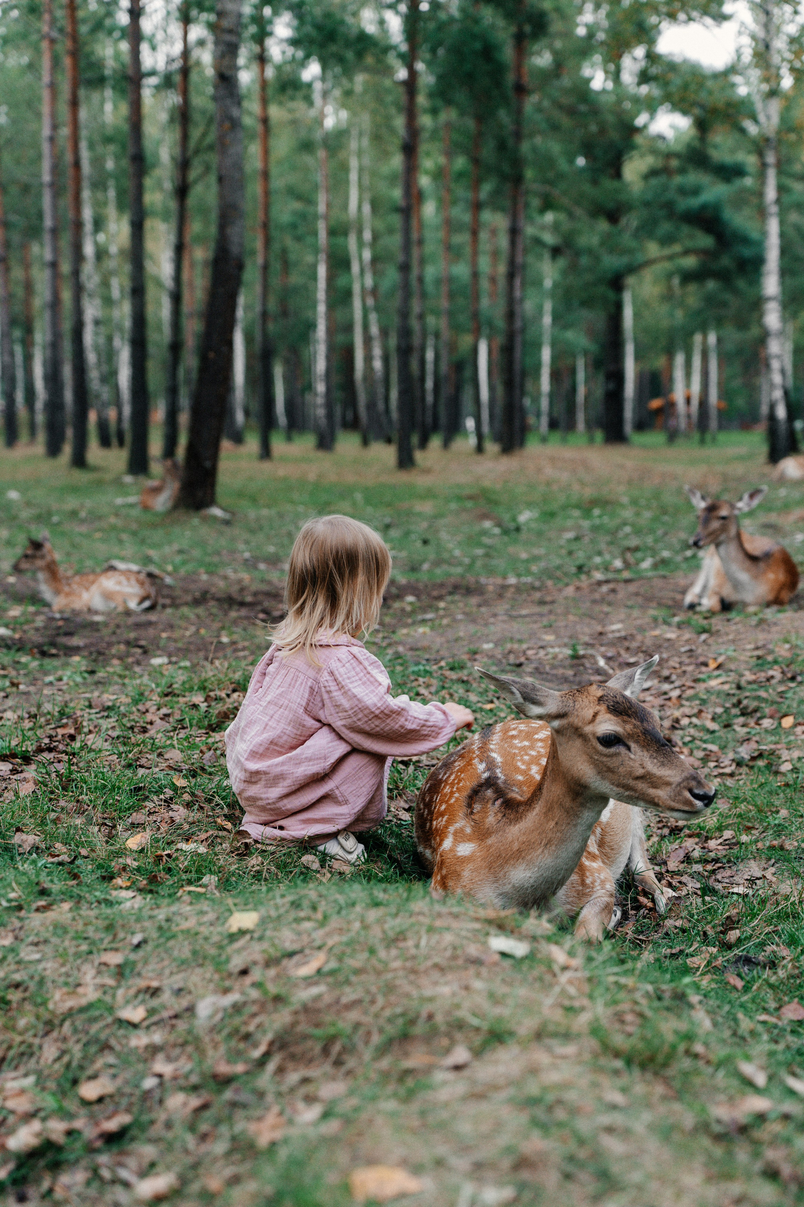 Диприз — в мире диких животных. Ваш семейный фотограф в Минске — Вика Трегубова