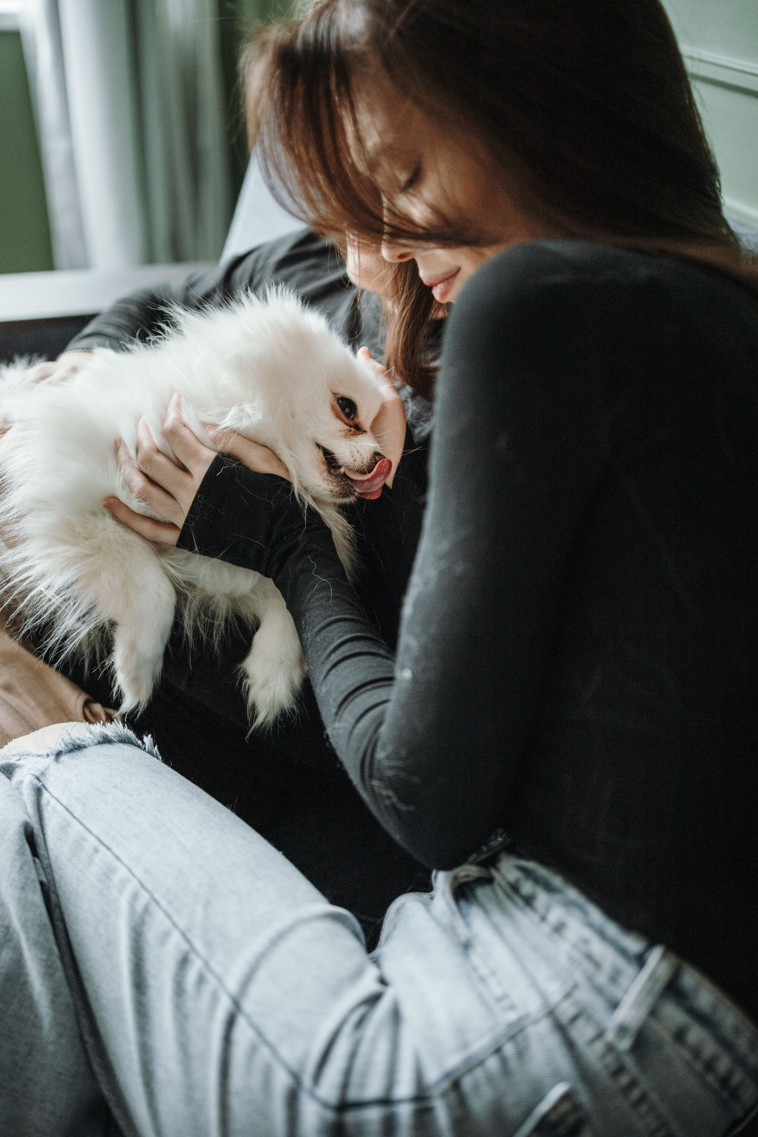 Шпиц Мася и ее семья