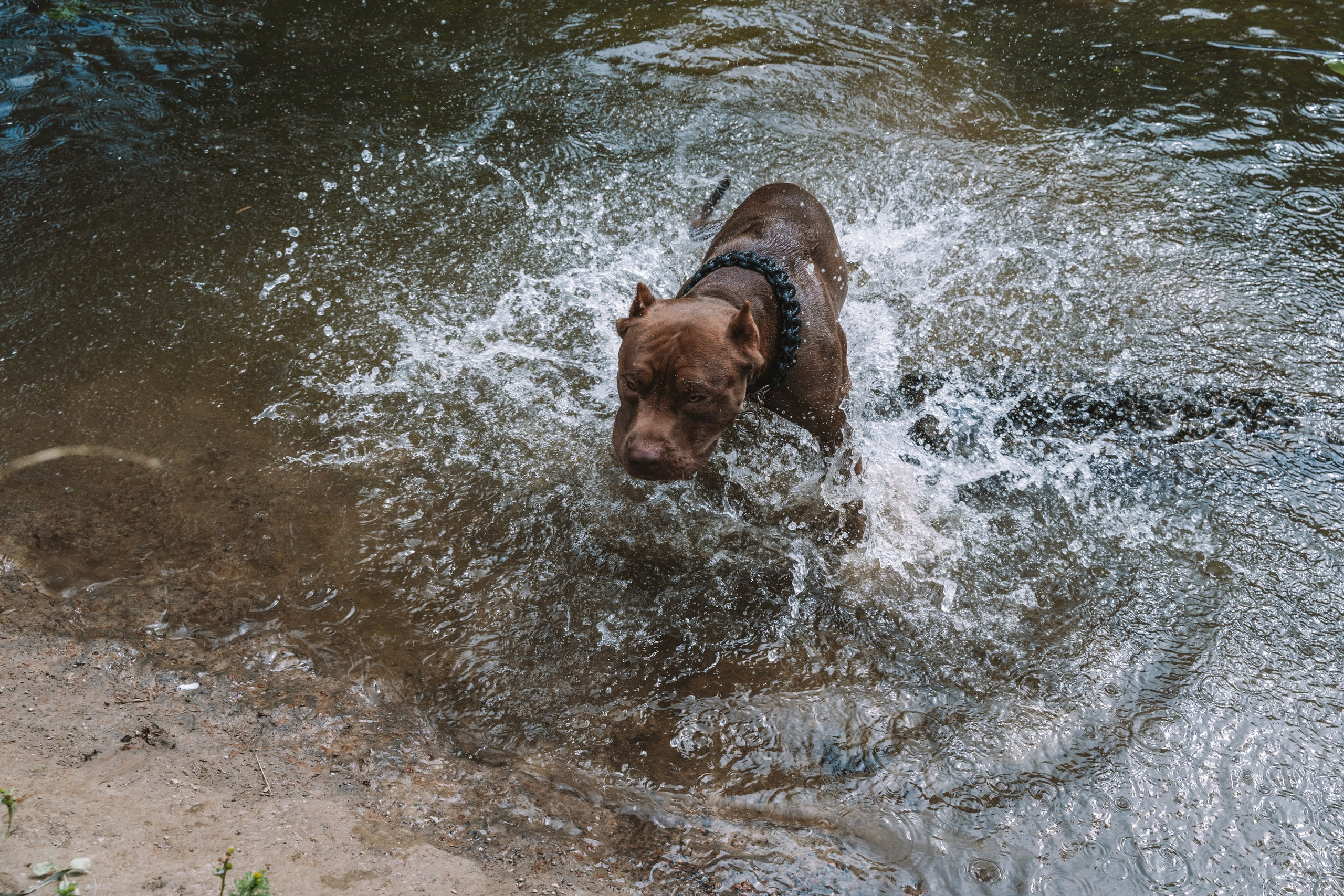 Лав стори фотограф Санкт-Петербург. Свадебный, семейный, портретный, репортажный фотограф в Санкт-Петербурге