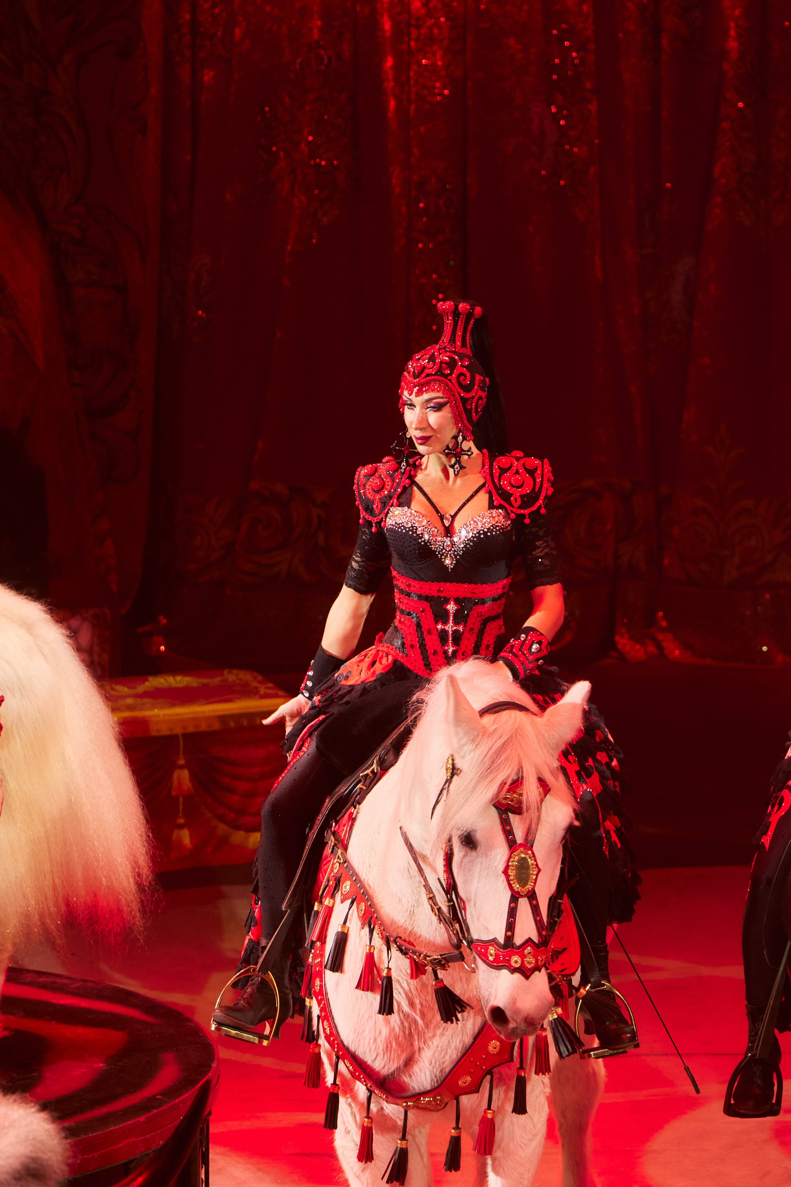 Королевский цирк Гии Эрадзе. Свадебный и семейный фотограф