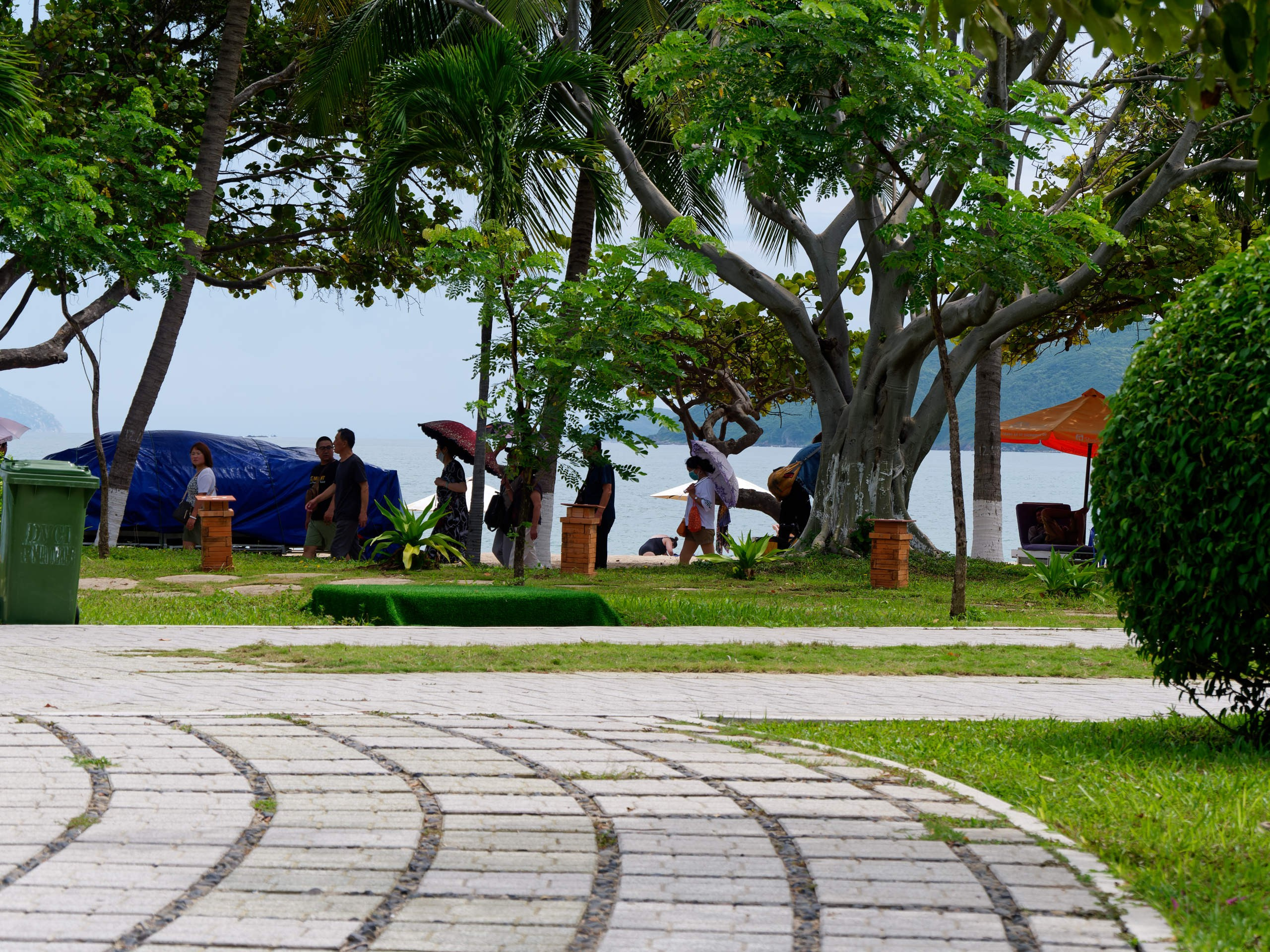 Нячанг 2023. Избранные фотографии