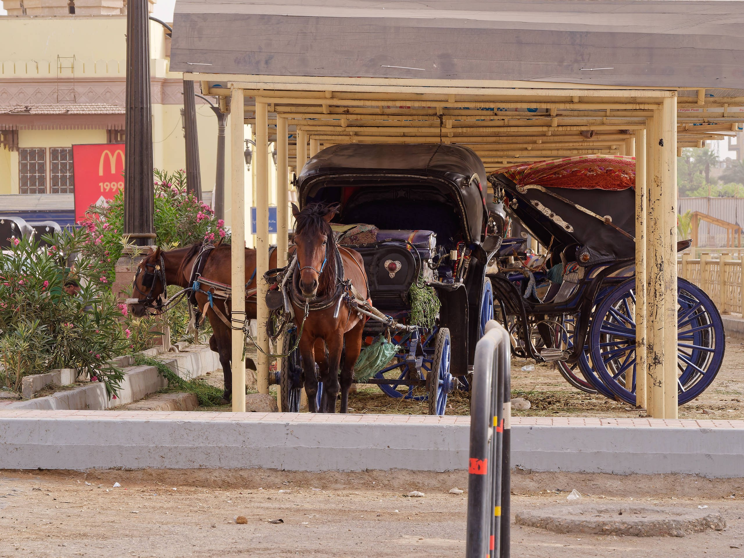 Луксор 2022, город. Избранные фотографии