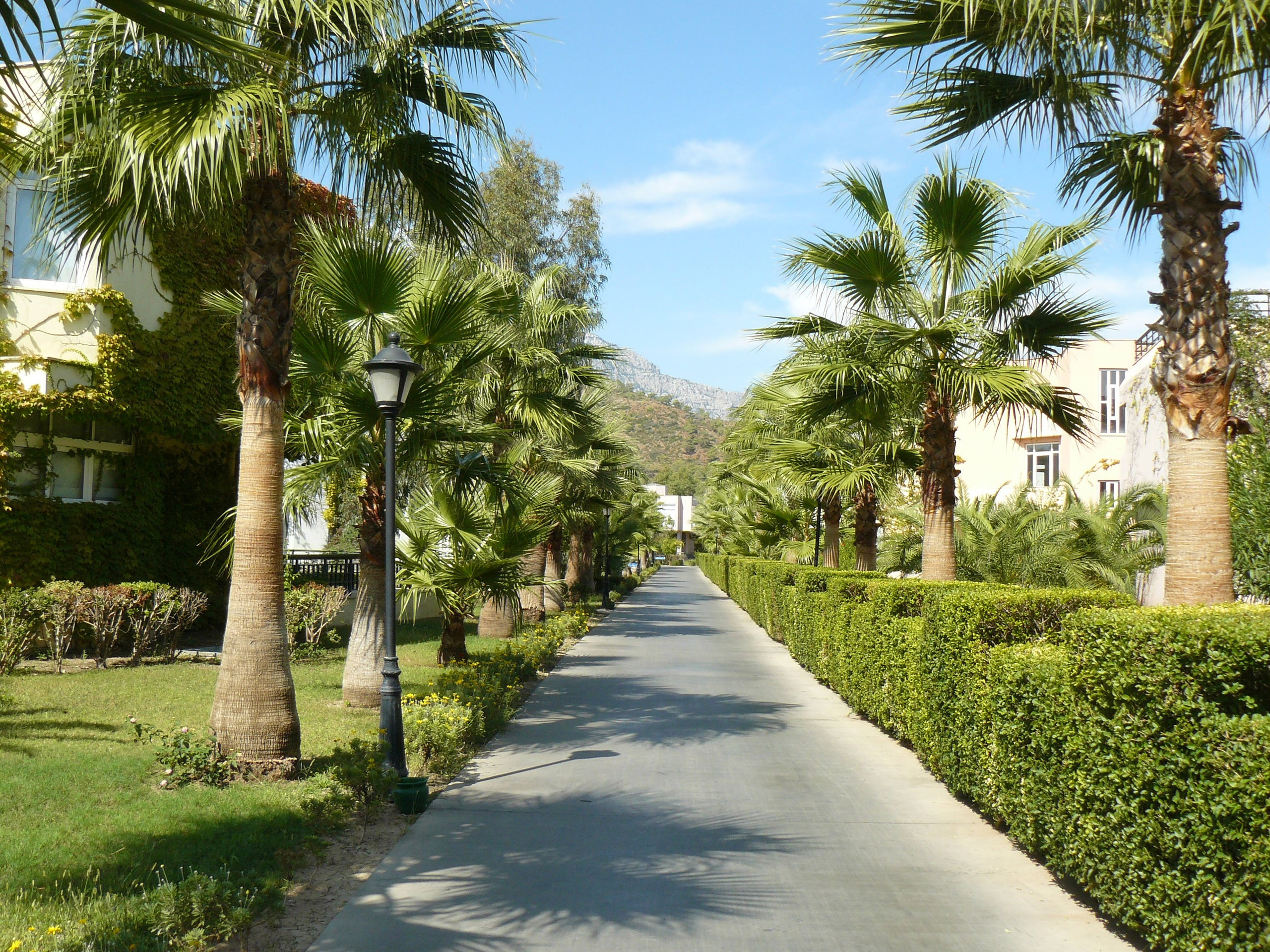 Кемер, Чамьюва 2008. Избранные фотографии