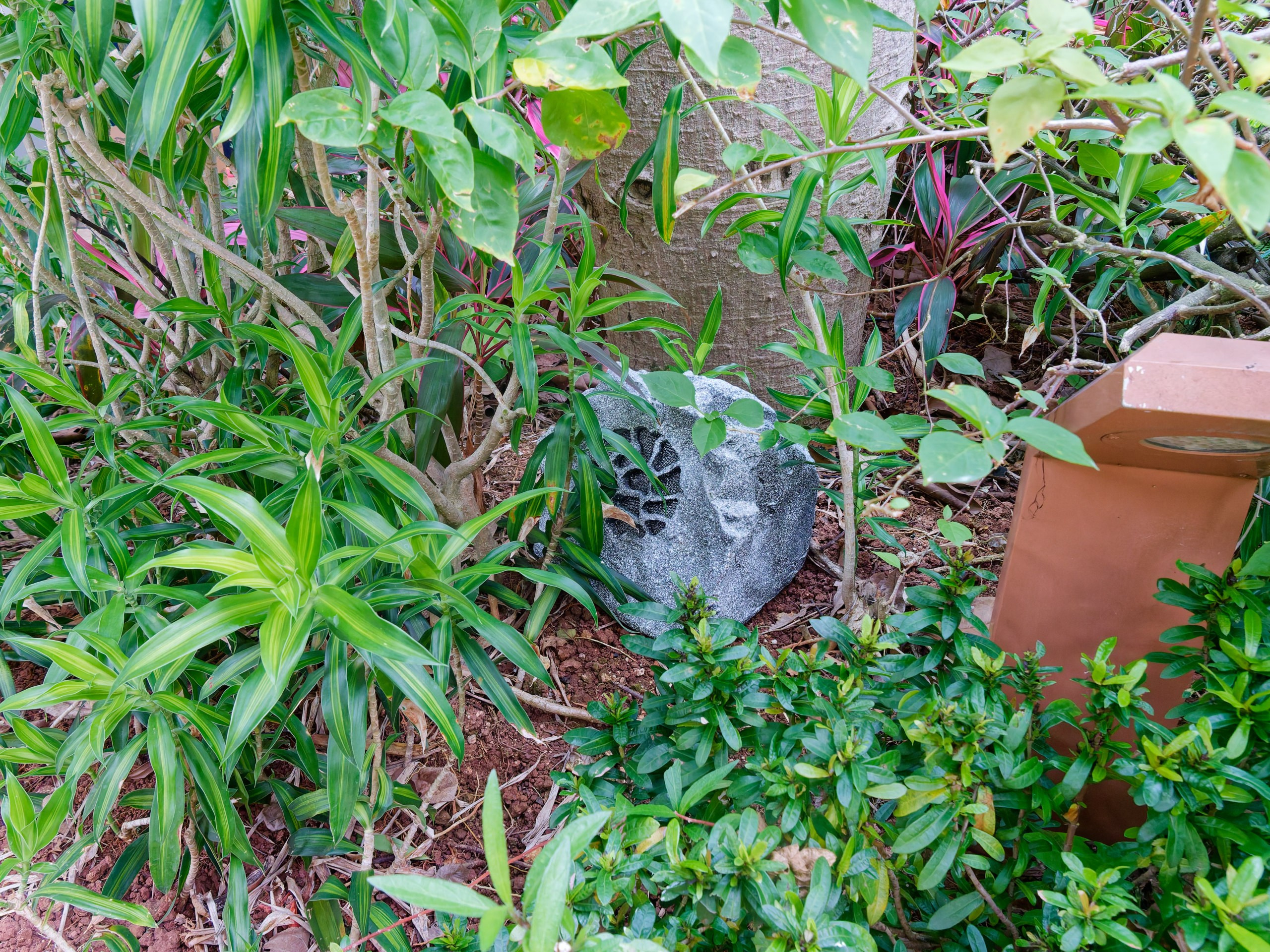 Хайнань 2026, Горячий источник DoubleTree by Hilton Lingshui. Фотопрогулки по Миру